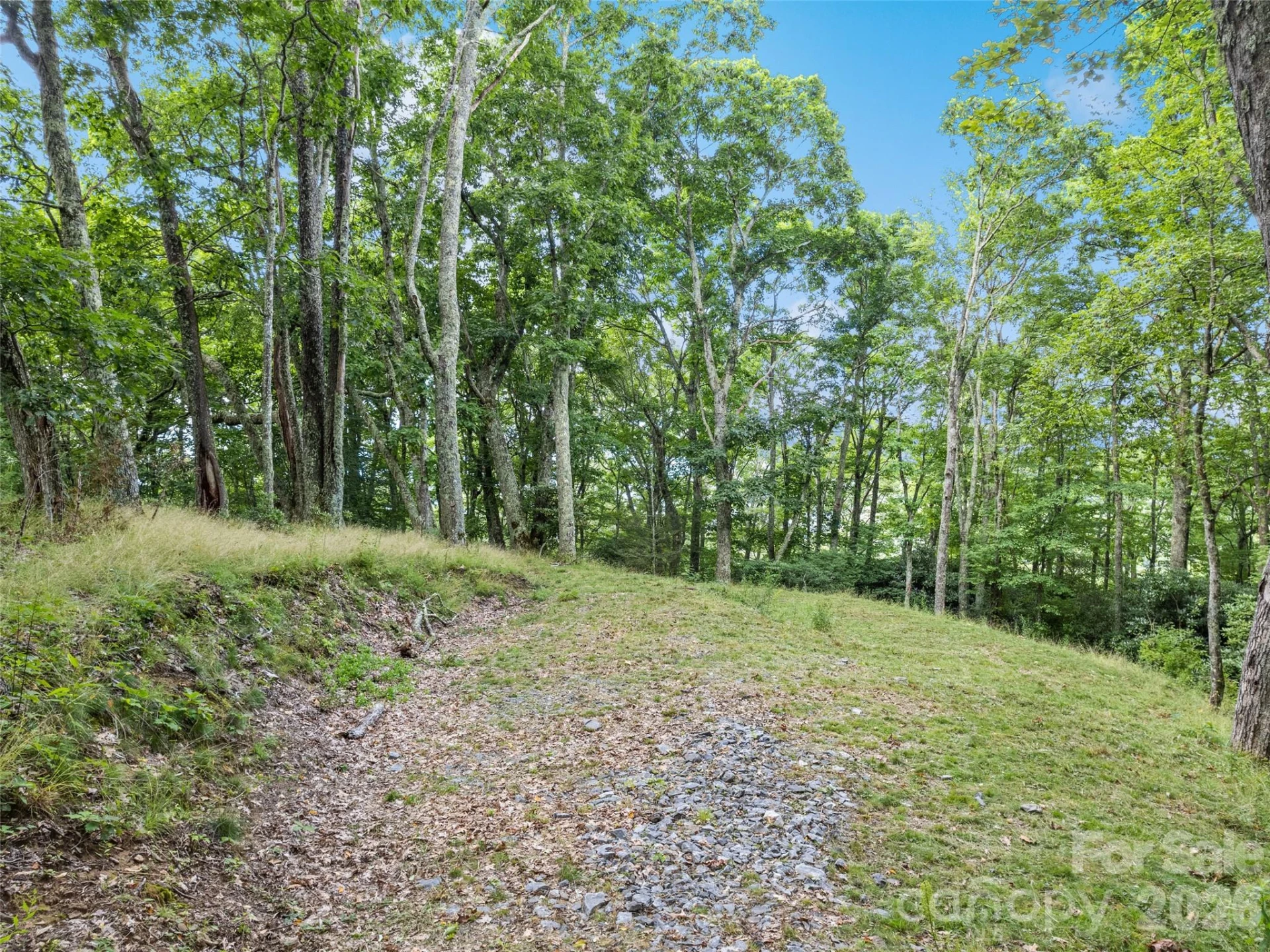 000 Wagon Trail Road - Photo 4