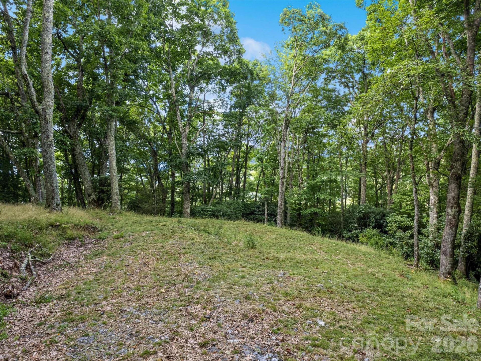 000 Wagon Trail Road - Photo 5