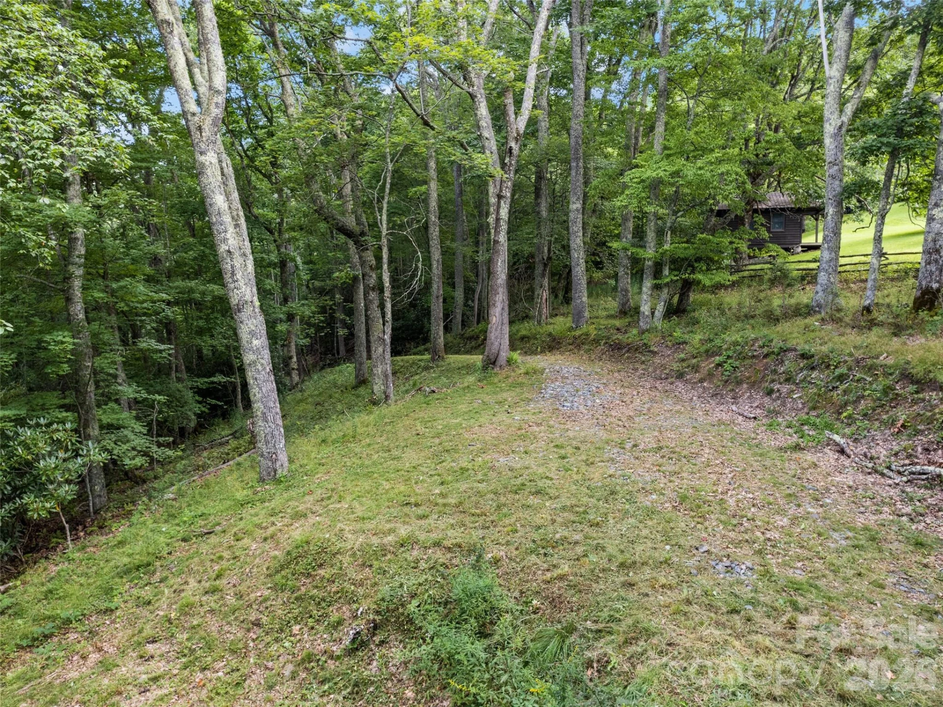 000 Wagon Trail Road - Photo 6