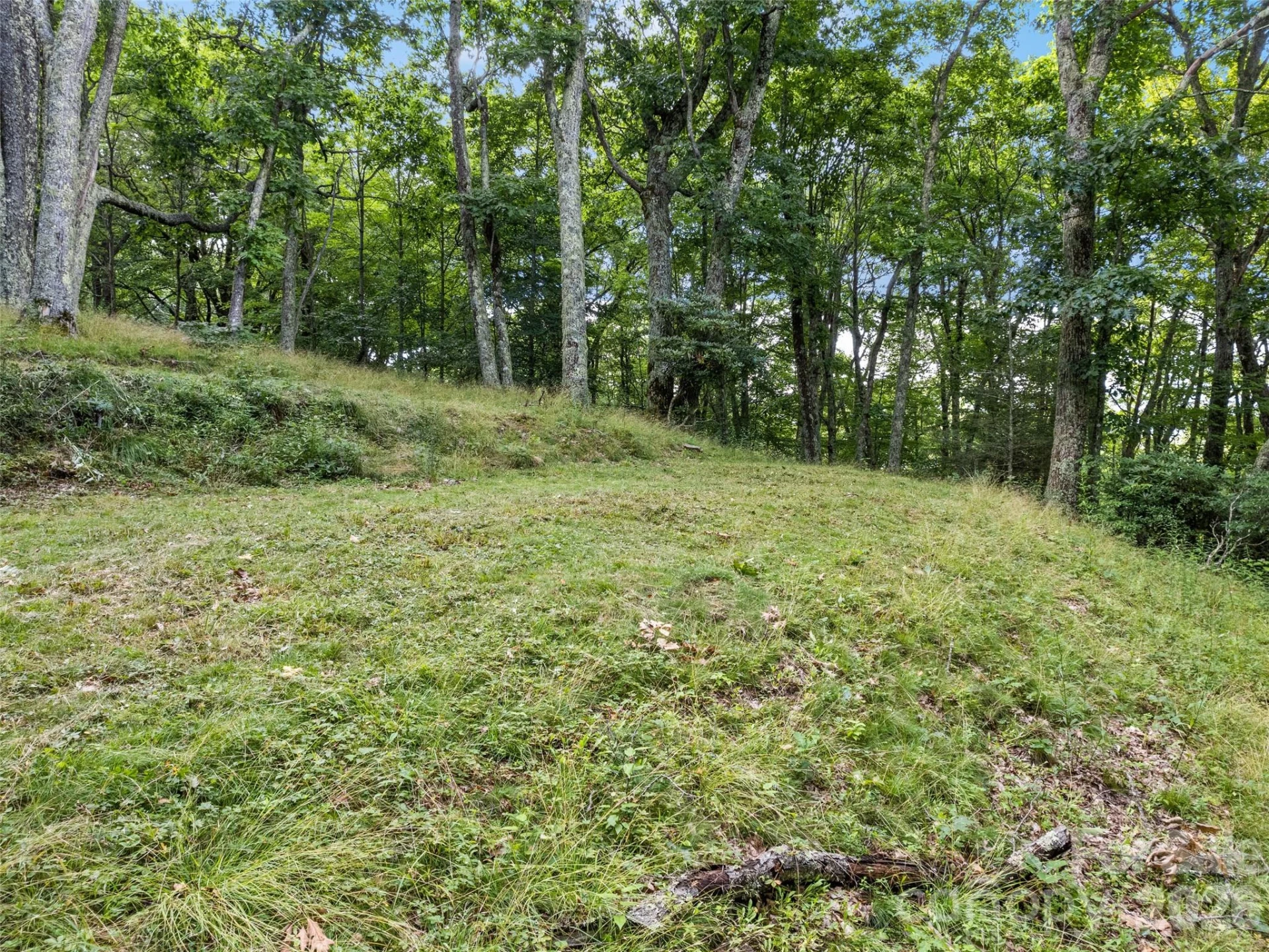 000 Wagon Trail Road - Photo 8