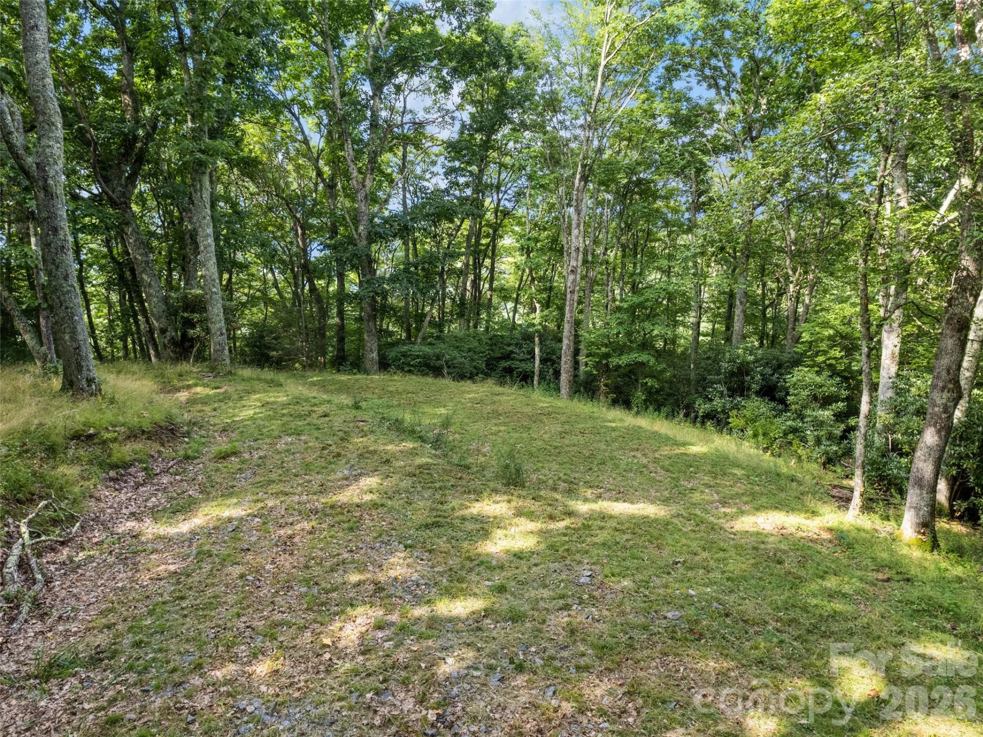 000 Wagon Trail Road - Photo 9