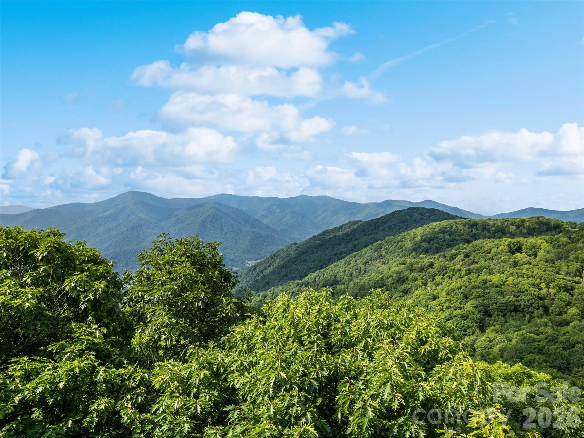 000 Wagon Trail Road - Photo 10