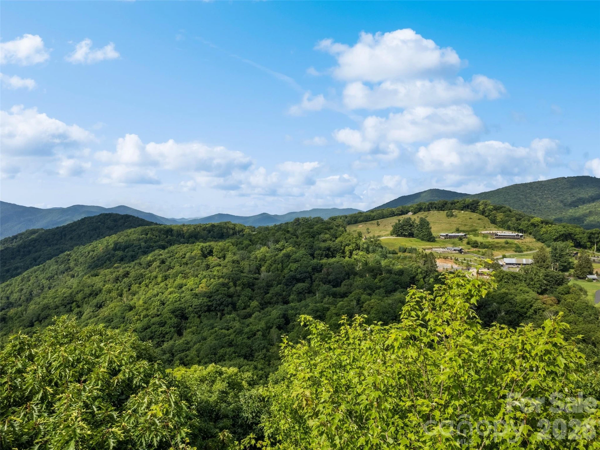 000 Wagon Trail Road - Photo 11