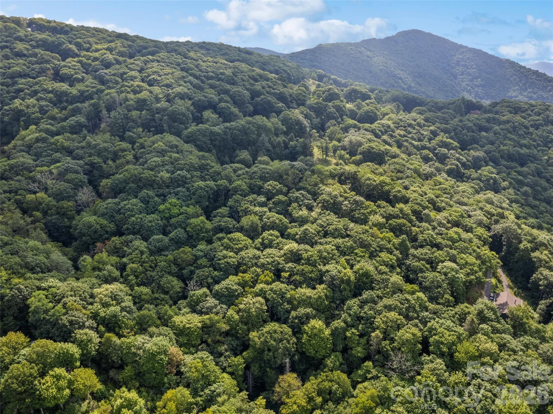000 Wagon Trail Road - Photo 13
