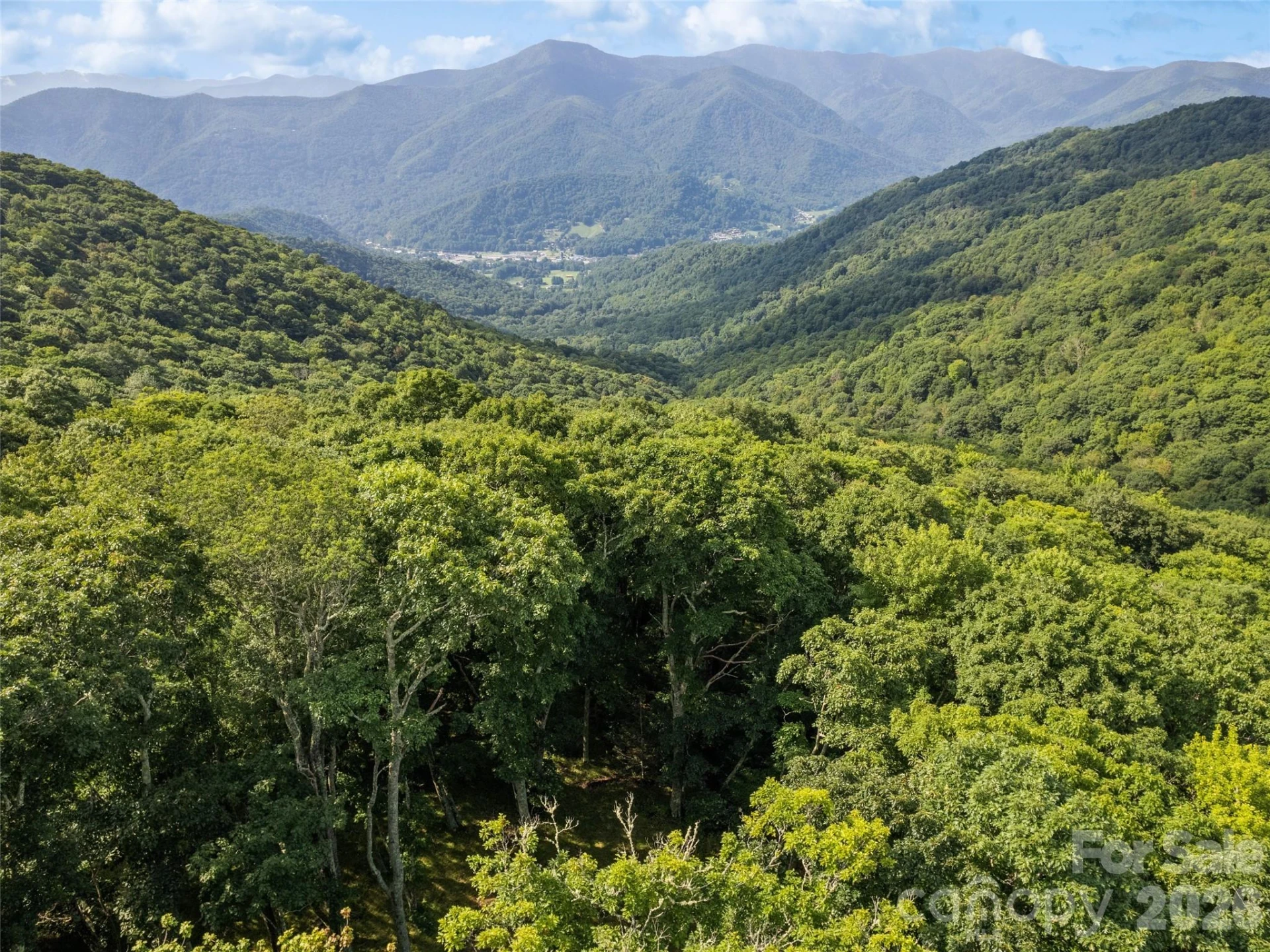 000 Wagon Trail Road - Photo 15
