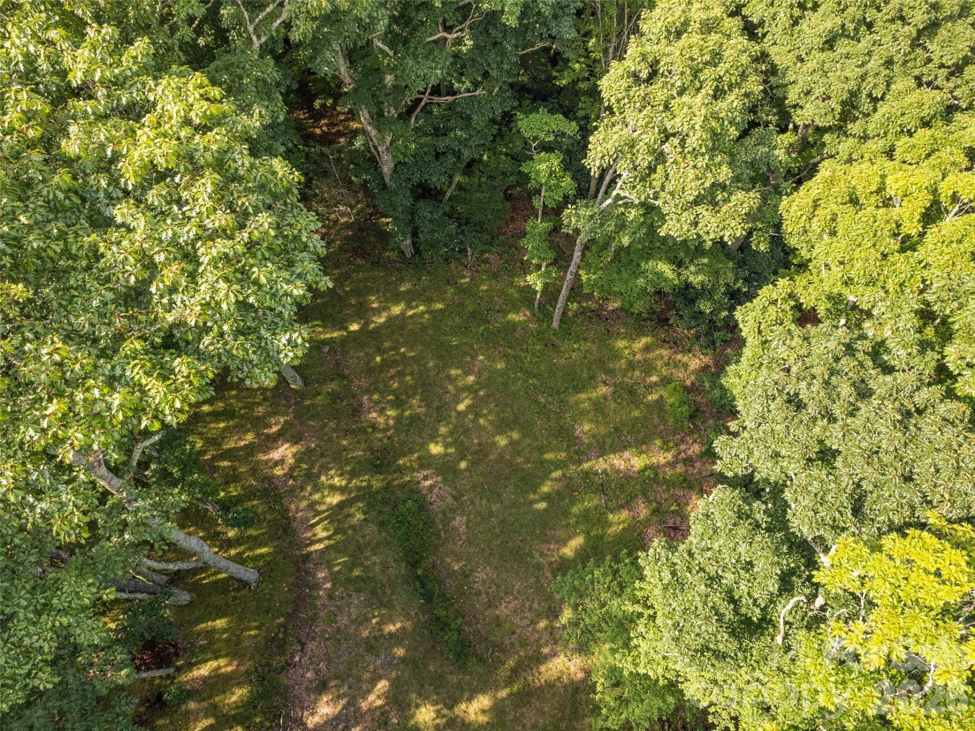 000 Wagon Trail Road - Photo 16