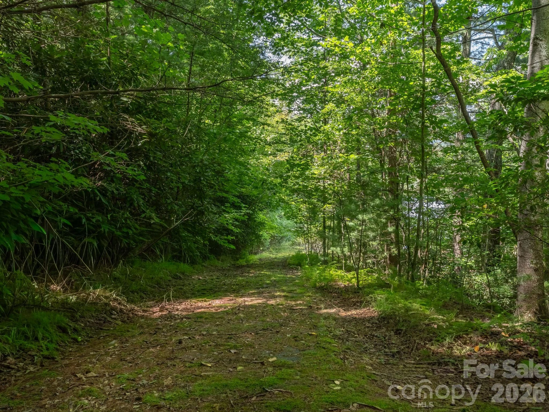 0 Hebron Road - Photo 2