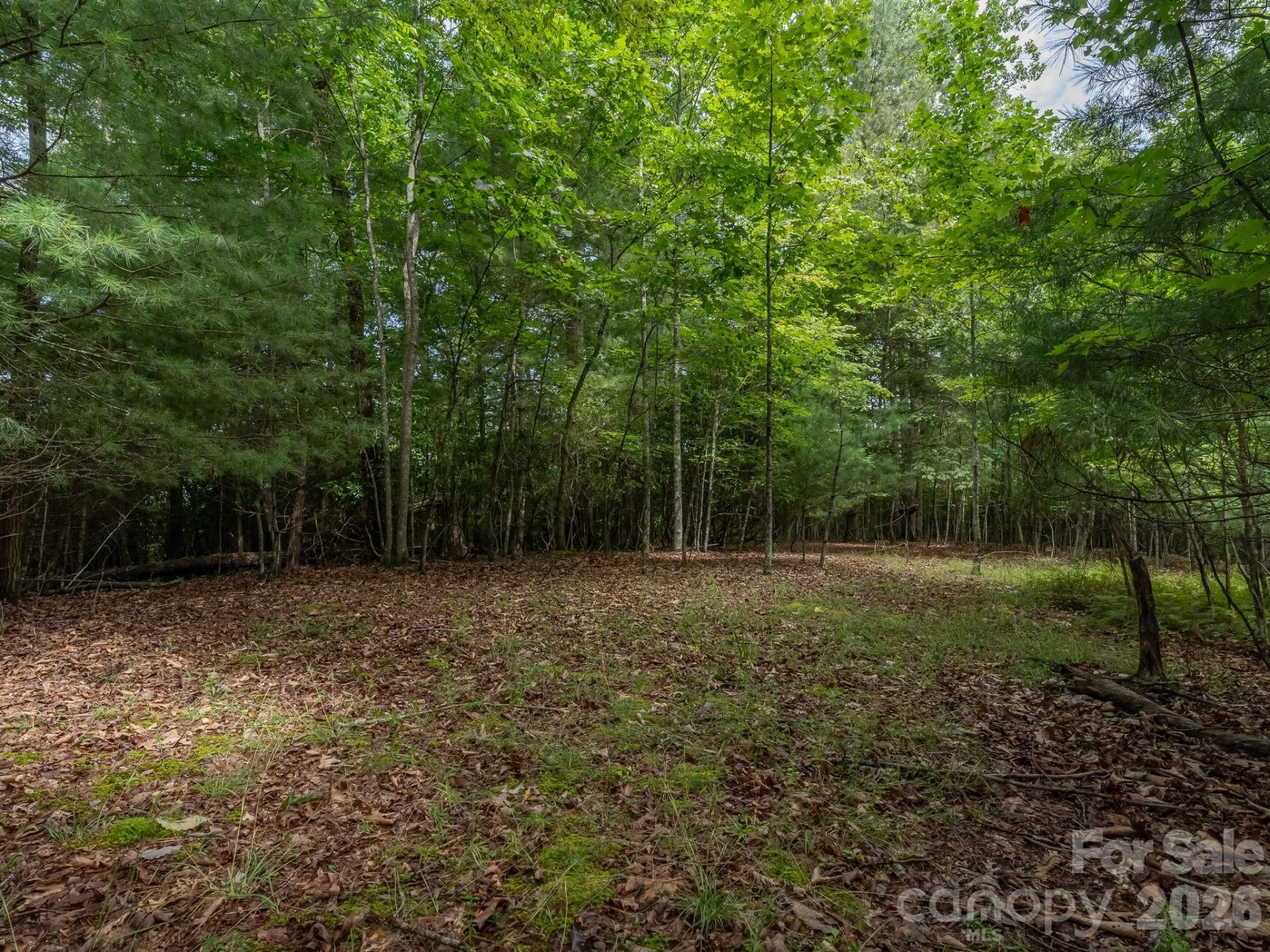 0 Hebron Road - Photo 3