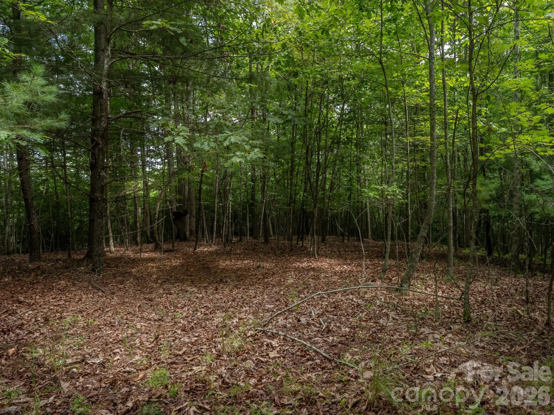 0 Hebron Road - Photo 4
