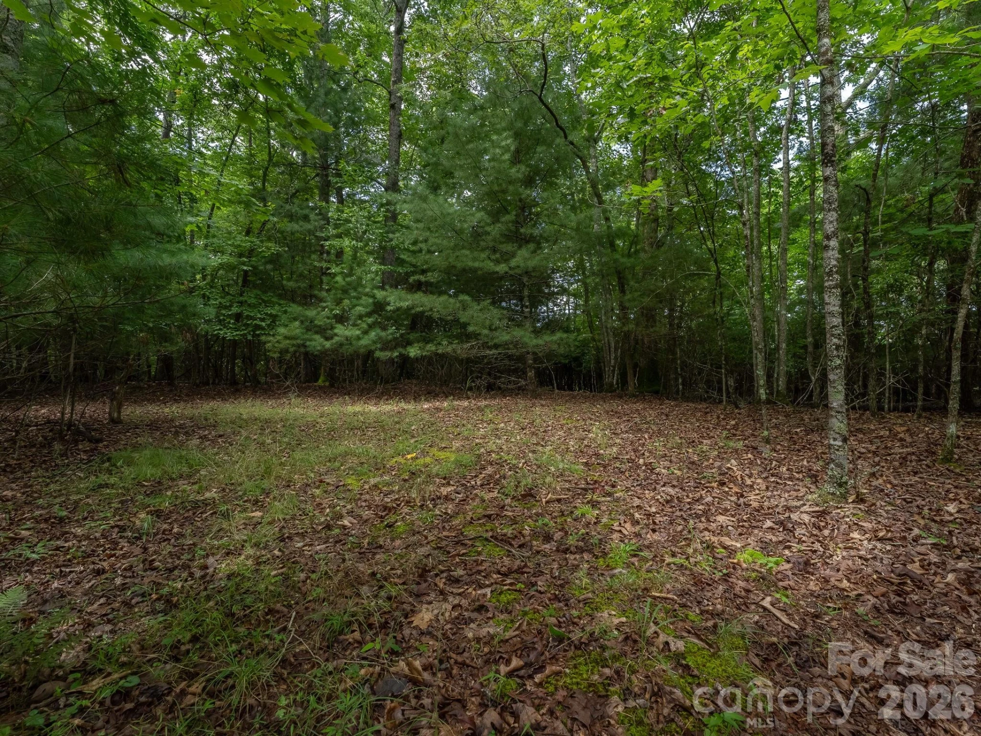 0 Hebron Road - Photo 5
