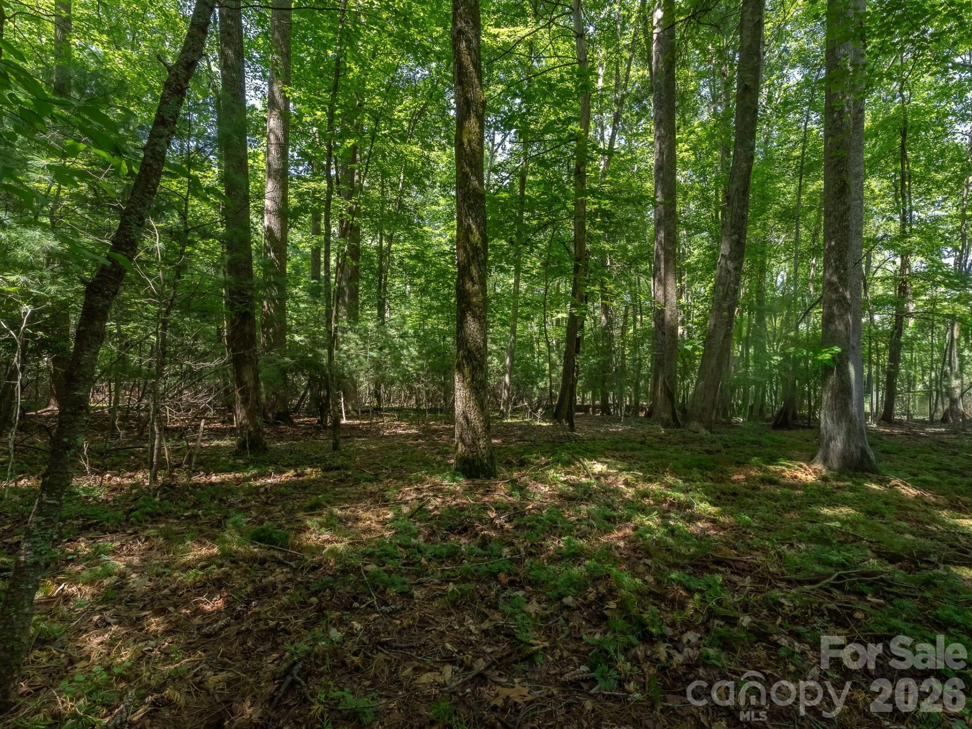 0 Hebron Road - Photo 9