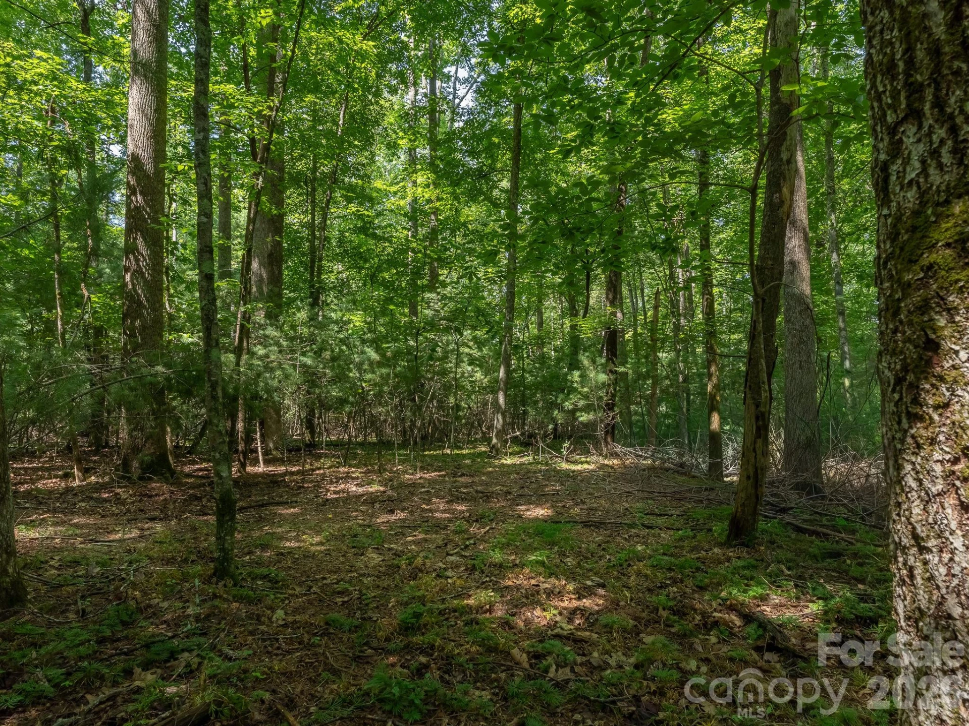0 Hebron Road - Photo 10