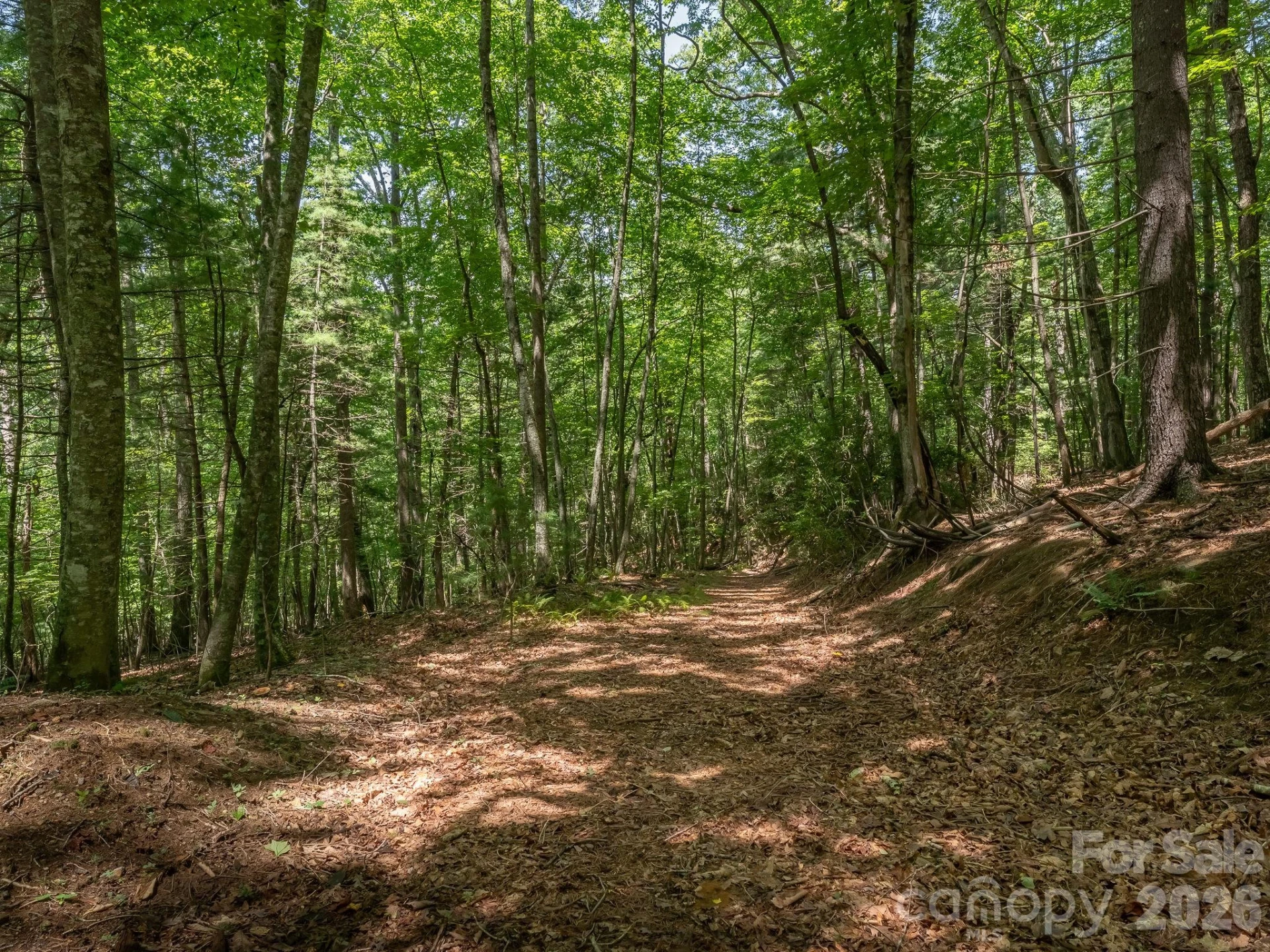 0 Hebron Road - Photo 16
