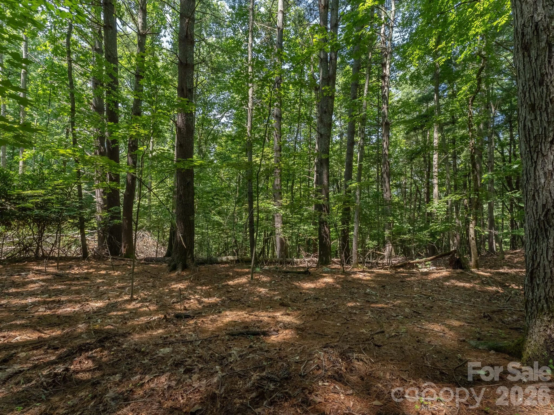 0 Hebron Road - Photo 20
