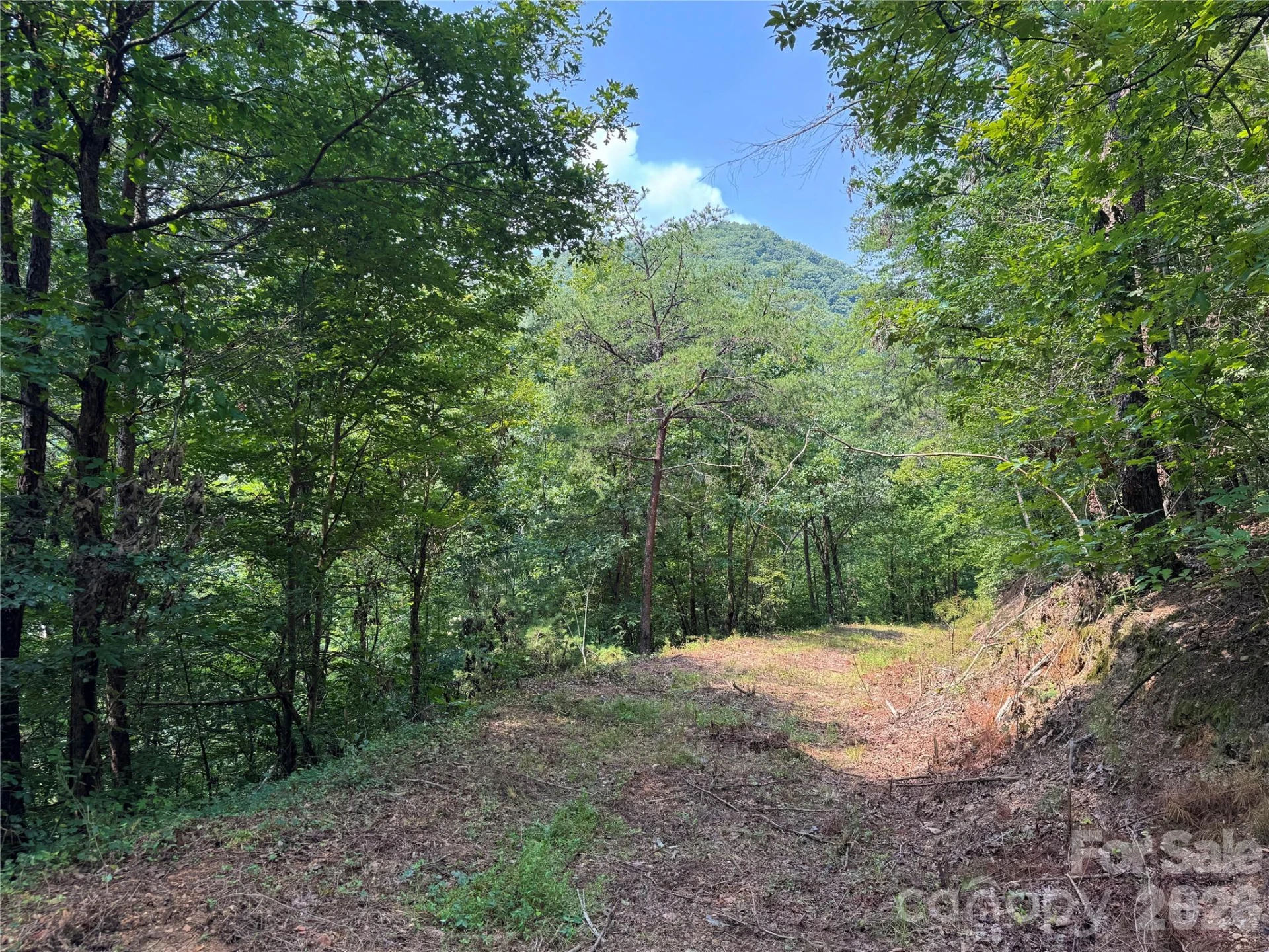 6080 River Road - Photo 3