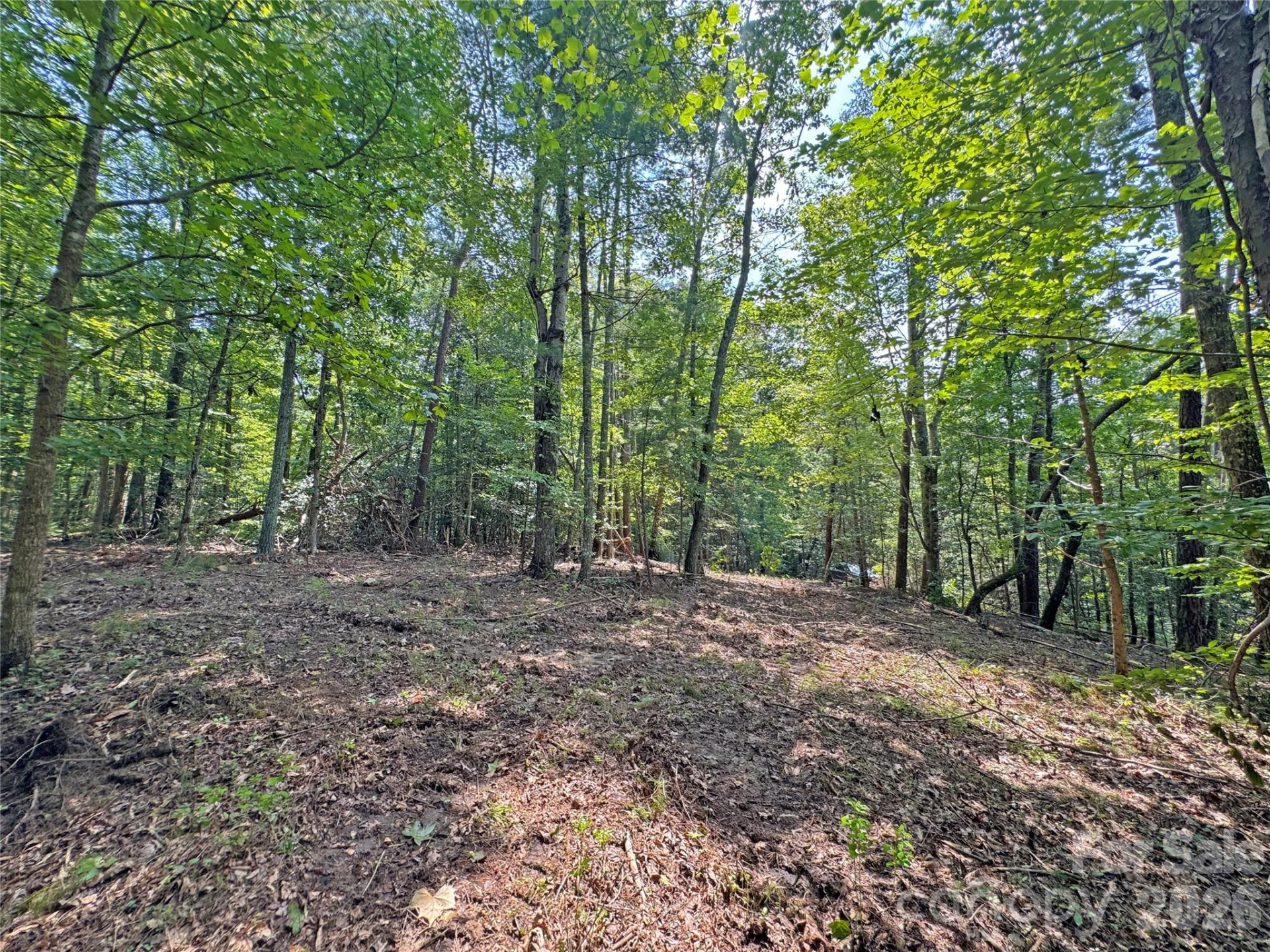 6080 River Road - Photo 4