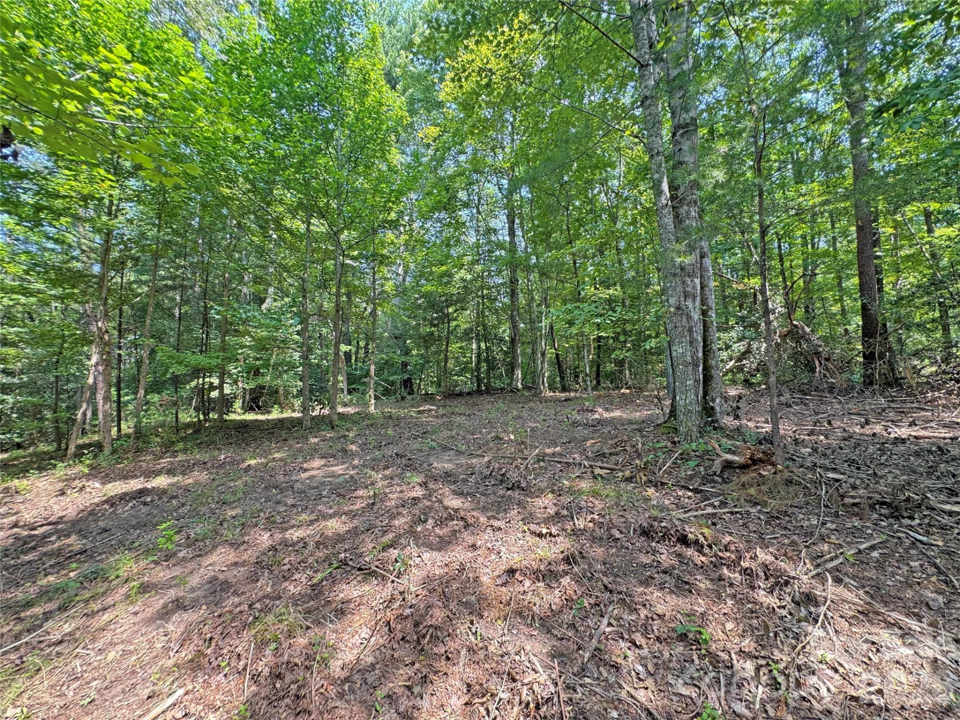 6080 River Road - Photo 5