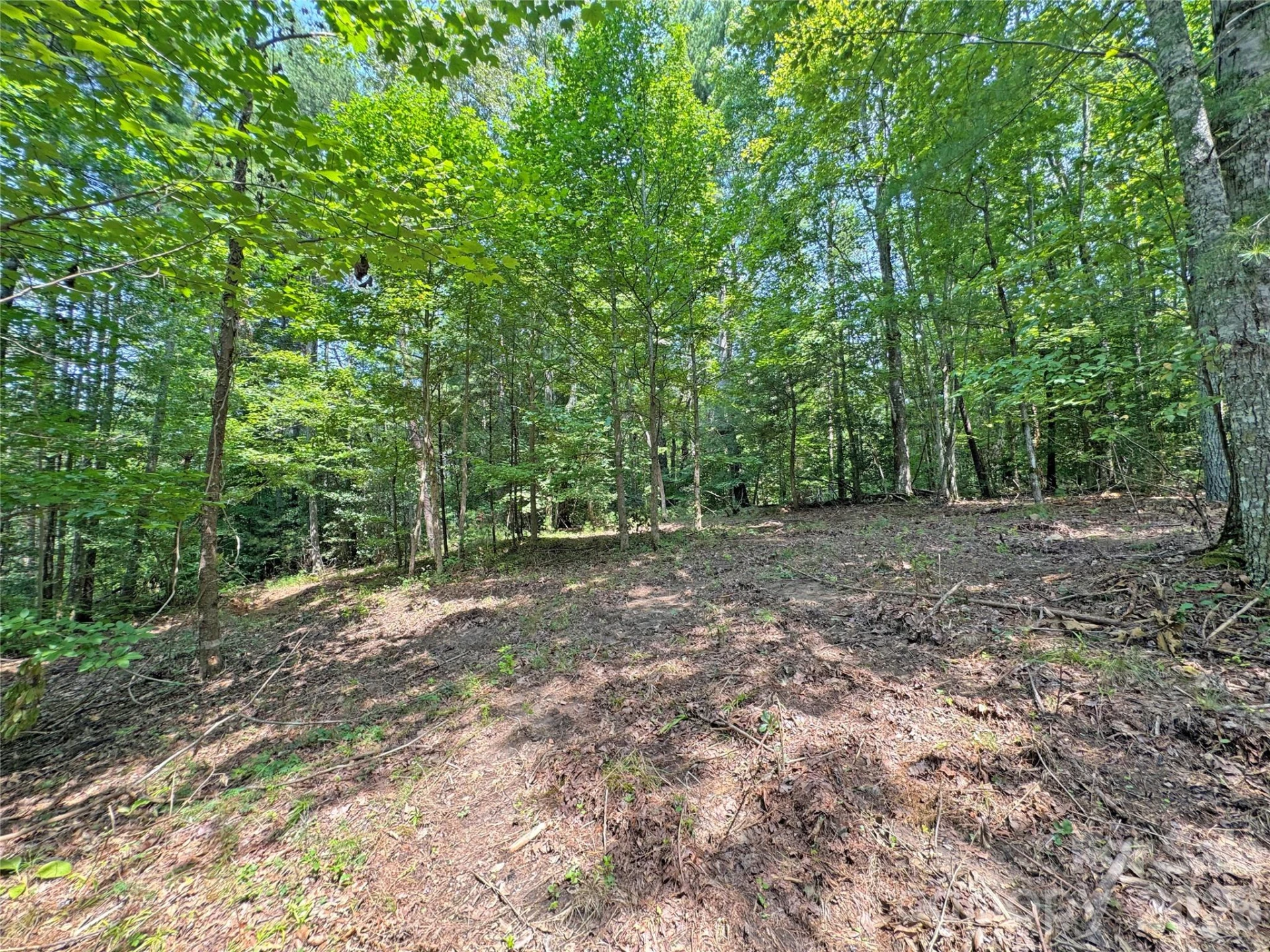 6080 River Road - Photo 6