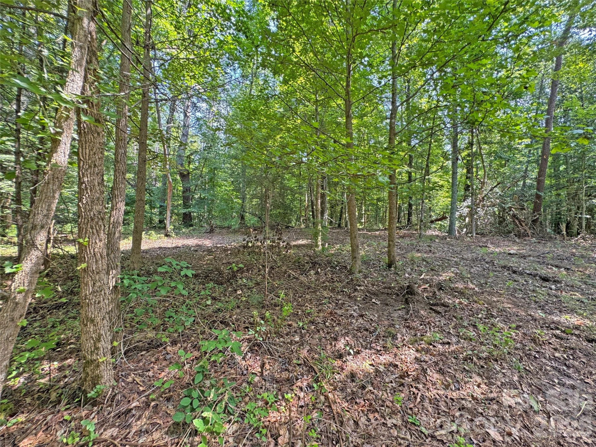 6080 River Road - Photo 9