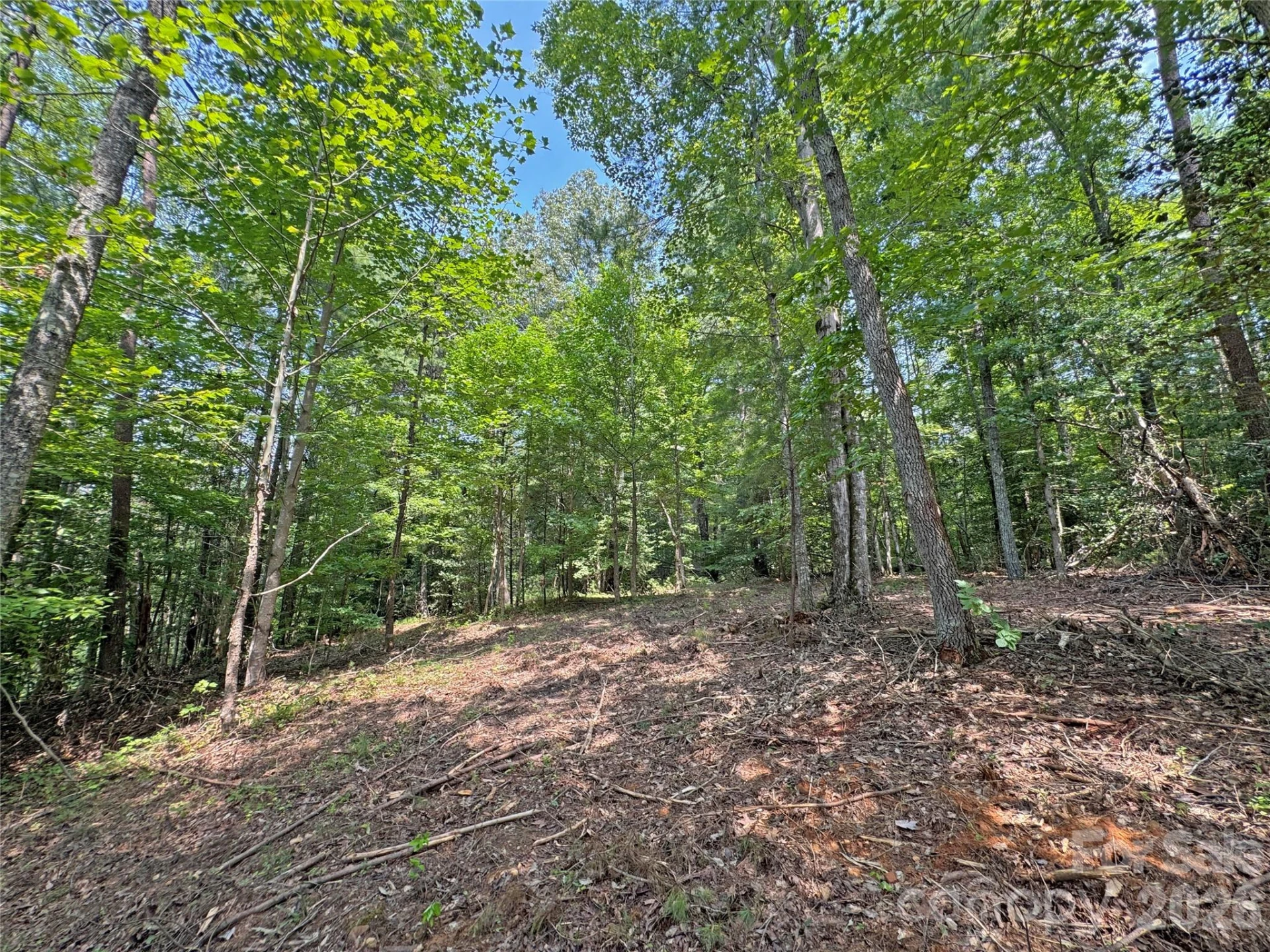6080 River Road - Photo 10