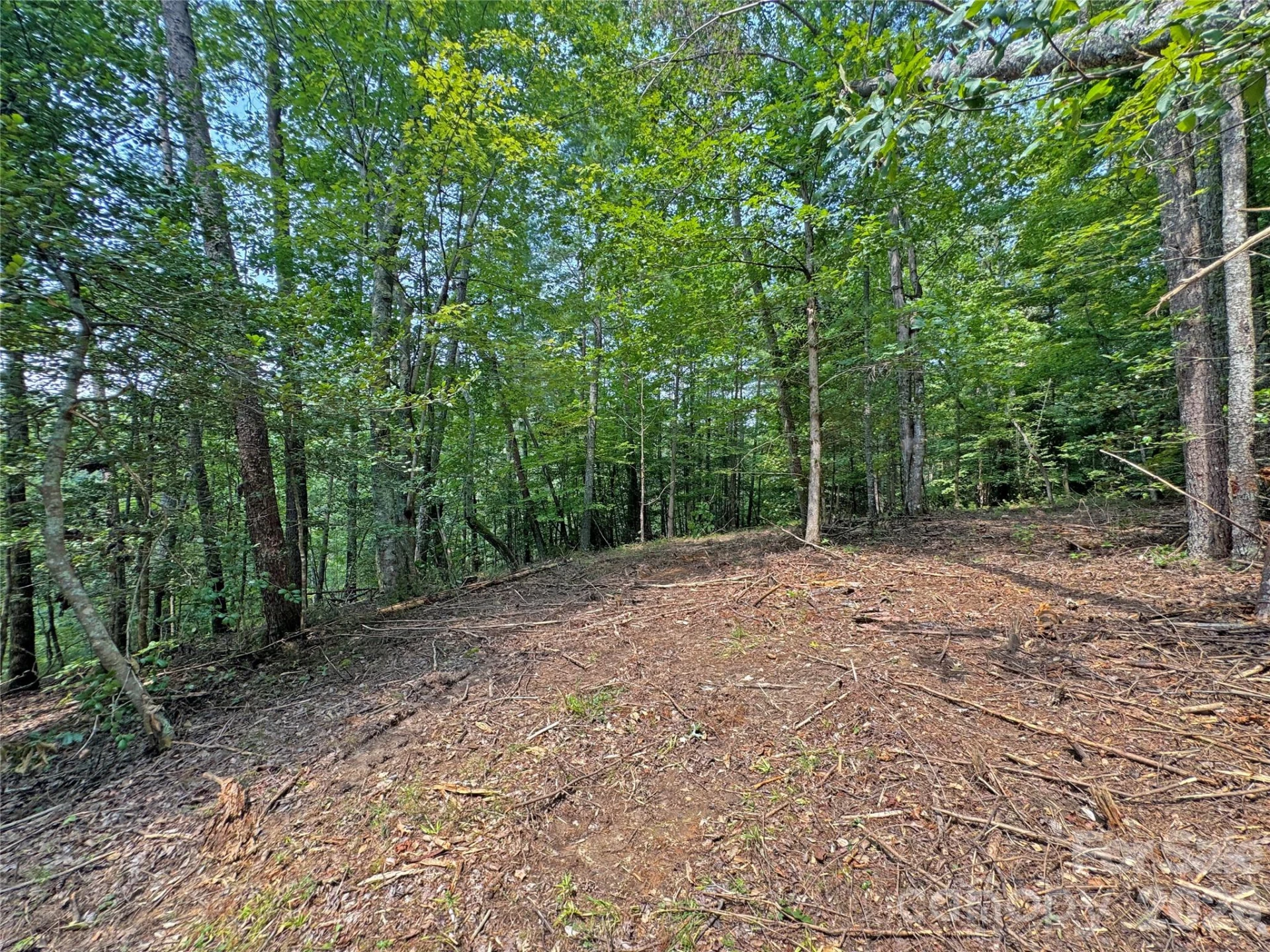 6080 River Road - Photo 11