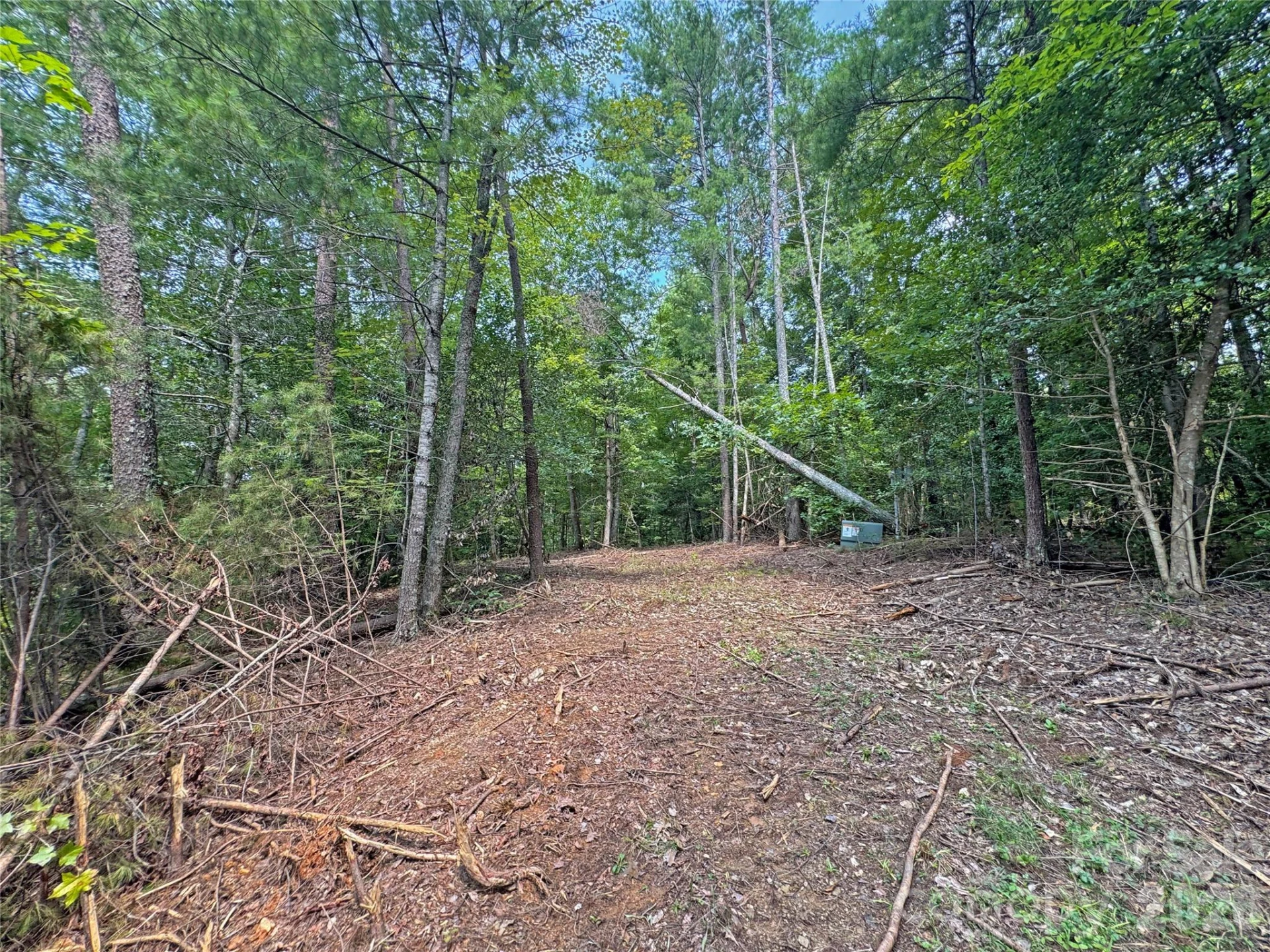6080 River Road - Photo 12