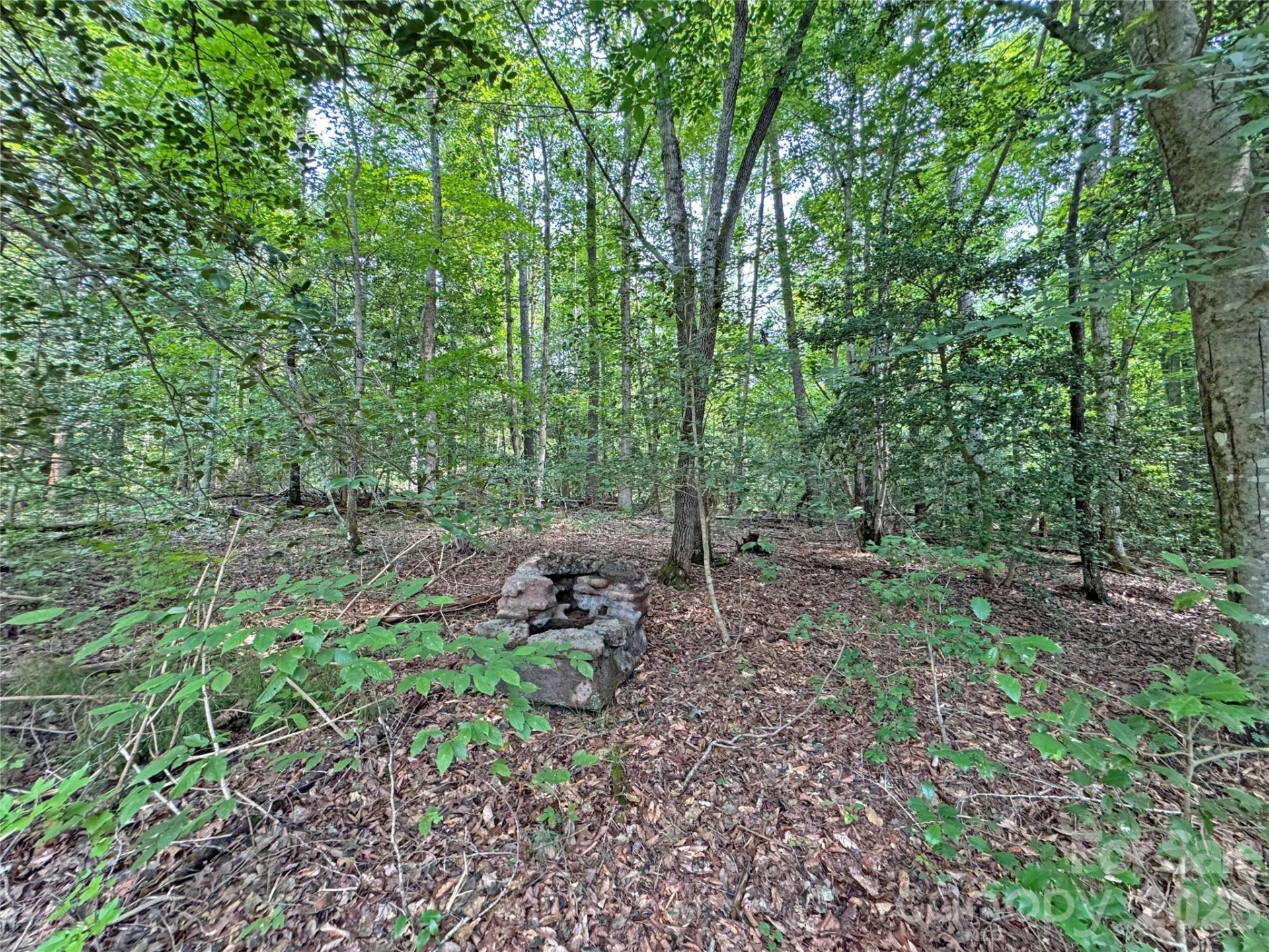 6080 River Road - Photo 13