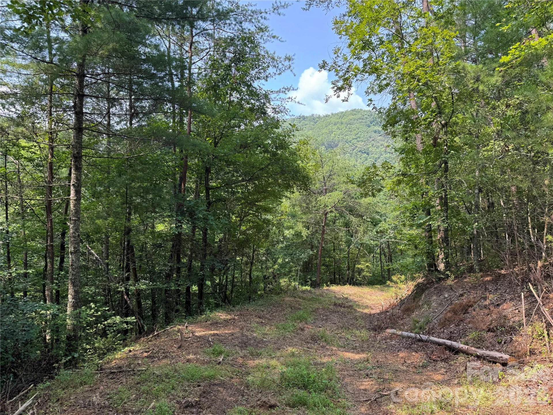 6080 River Road - Photo 14