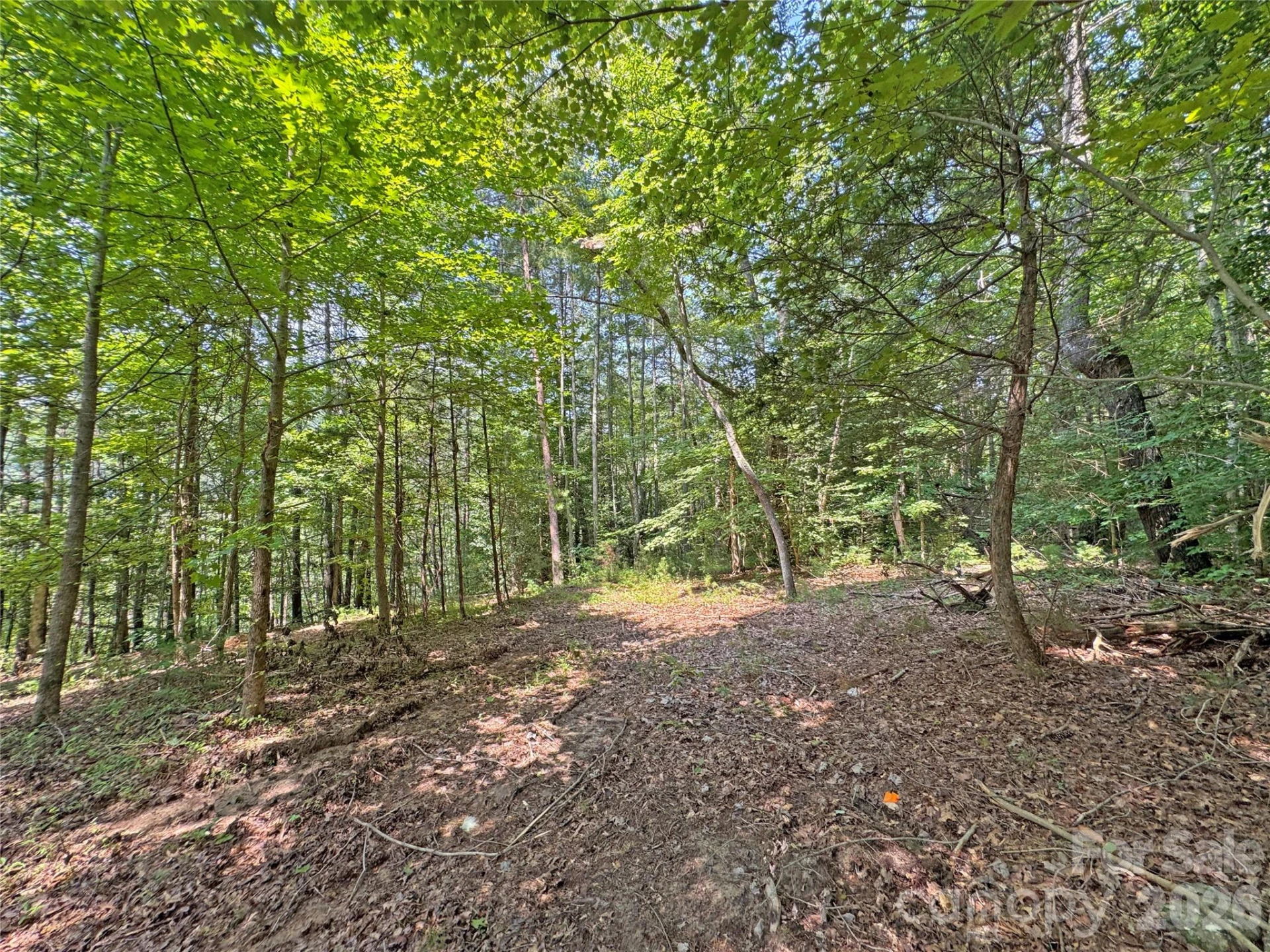 6080 River Road - Photo 16