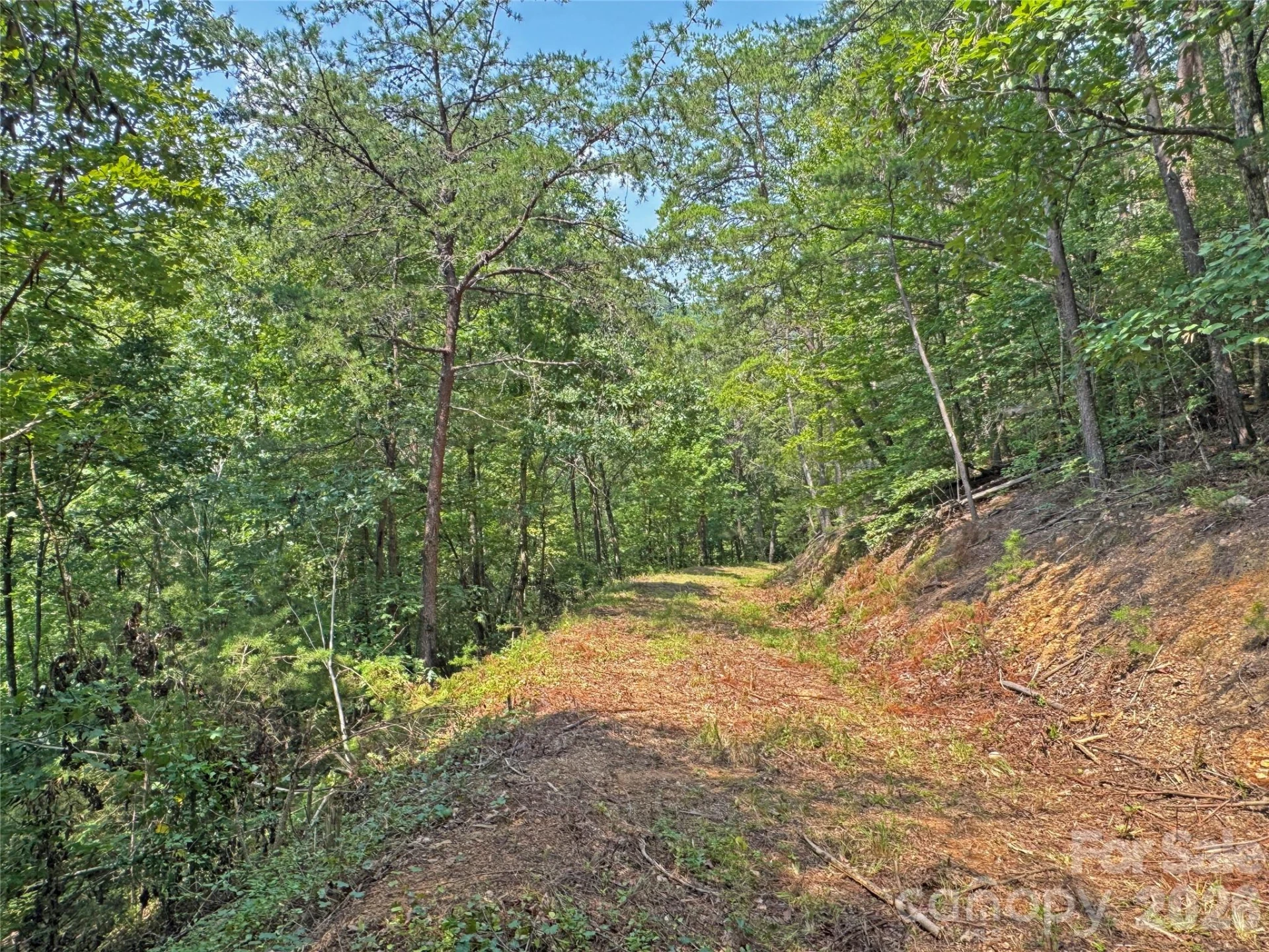 6080 River Road - Photo 17