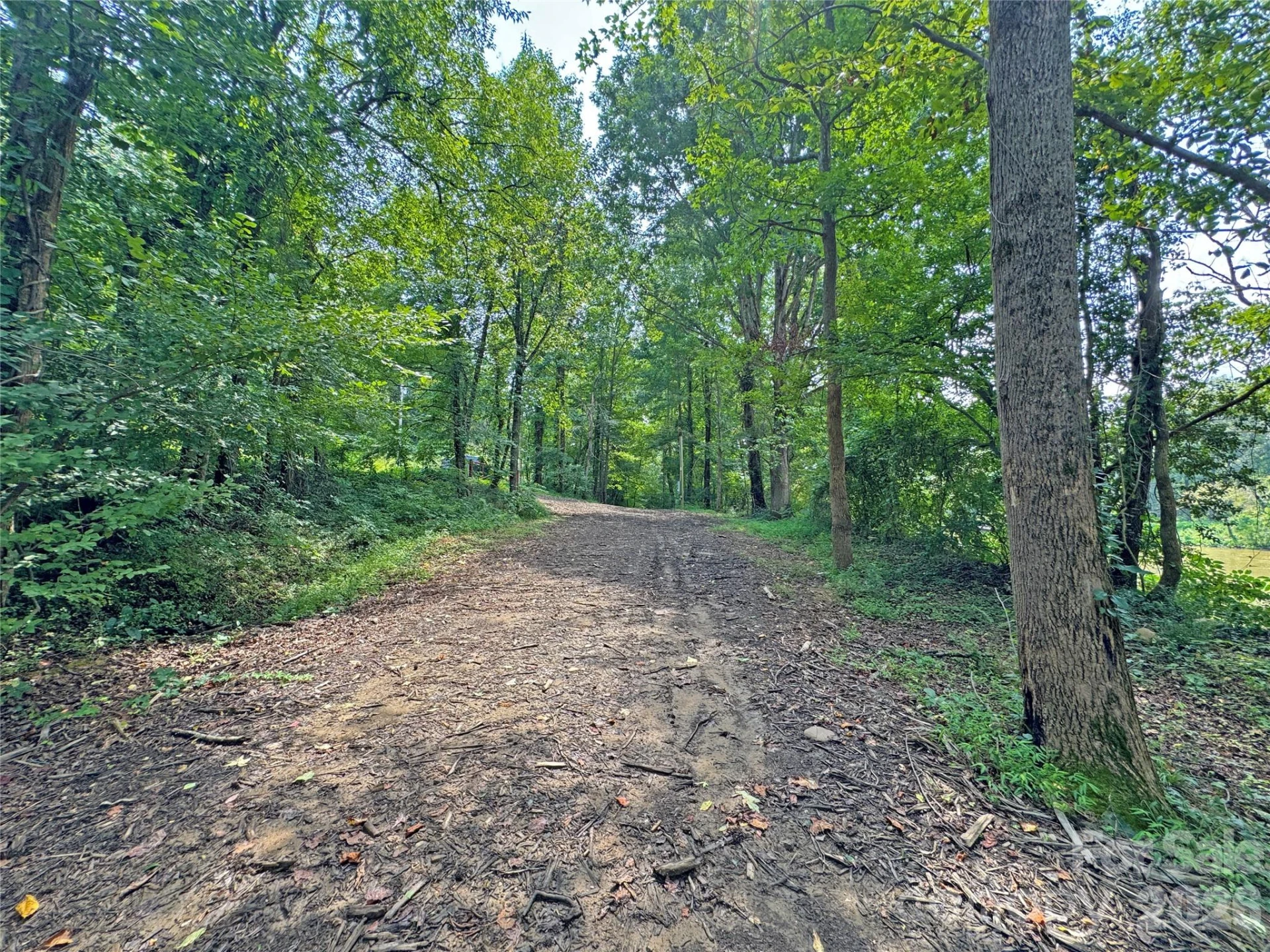 6080 River Road - Photo 18
