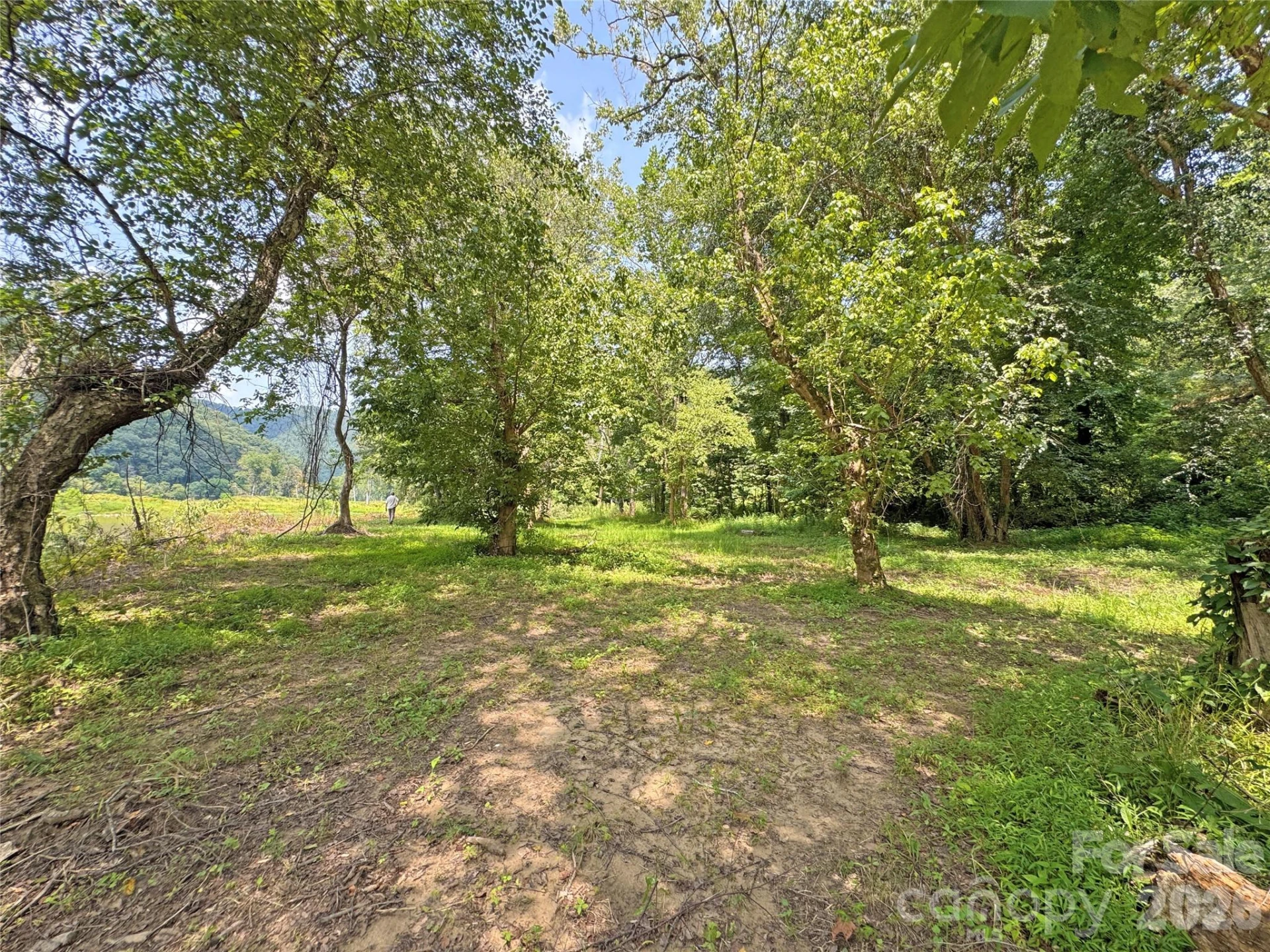 6080 River Road - Photo 20