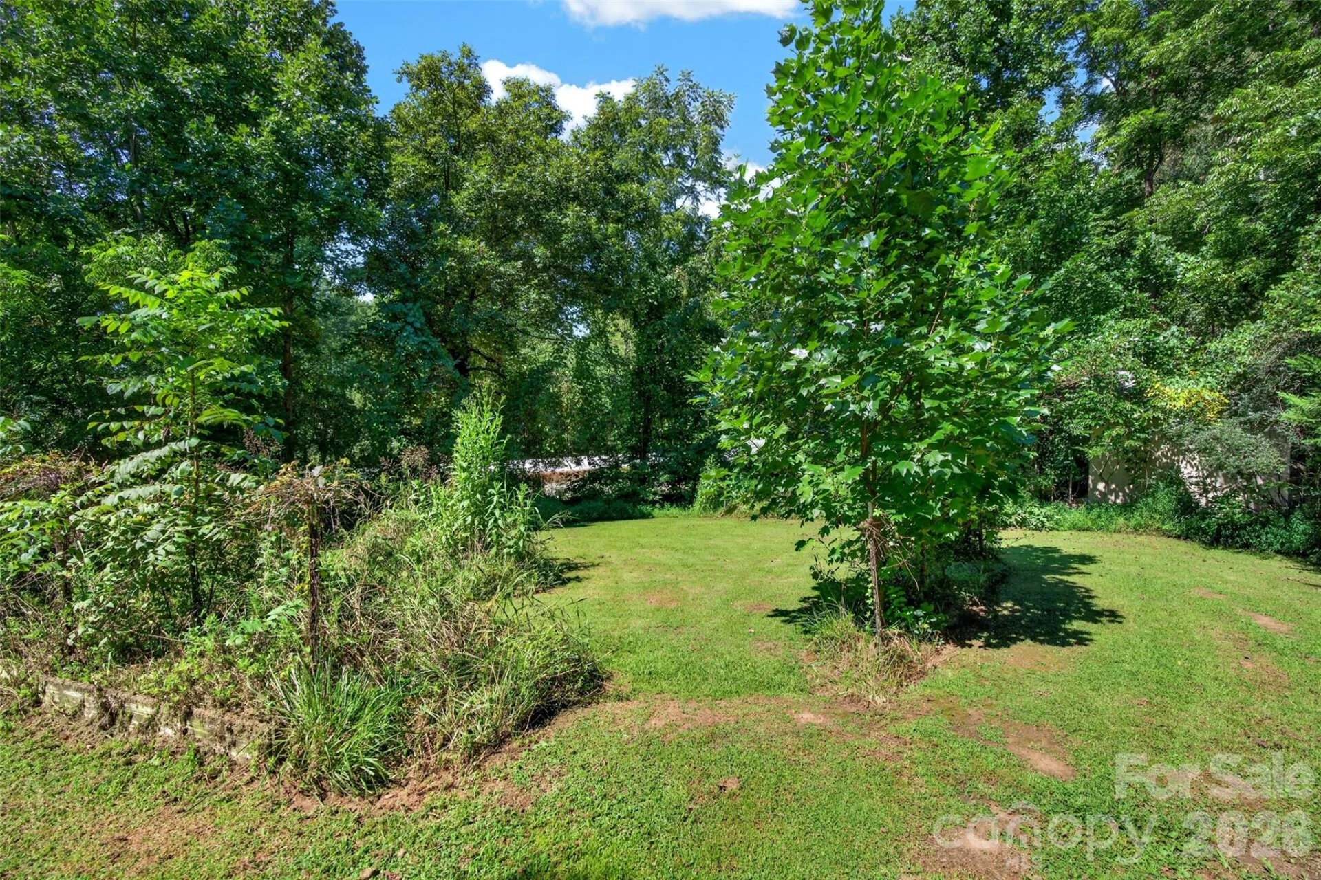 21 Maple Avenue - Photo 2