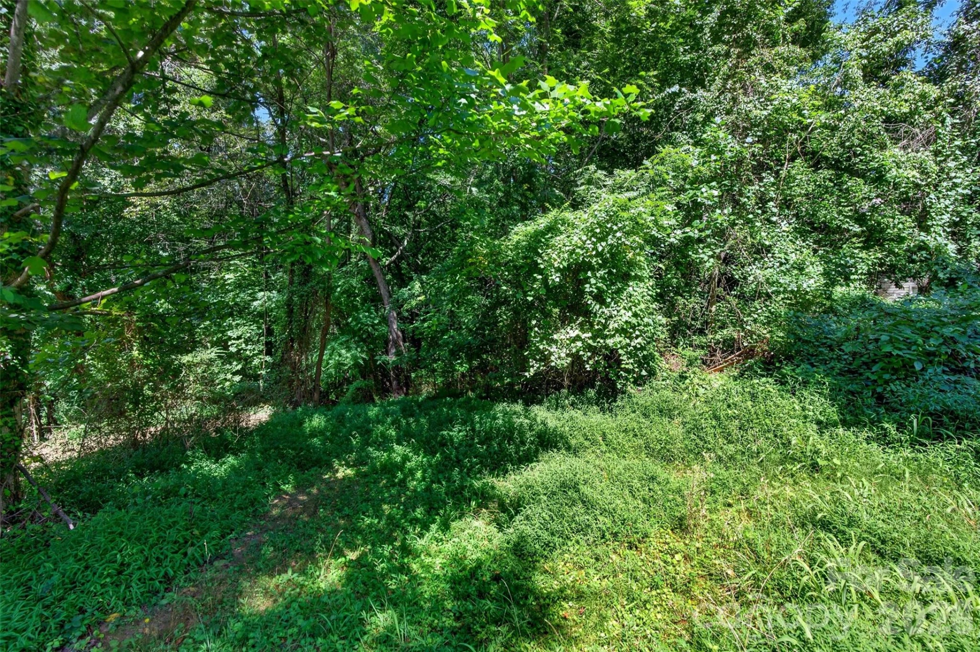 21 Maple Avenue - Photo 3