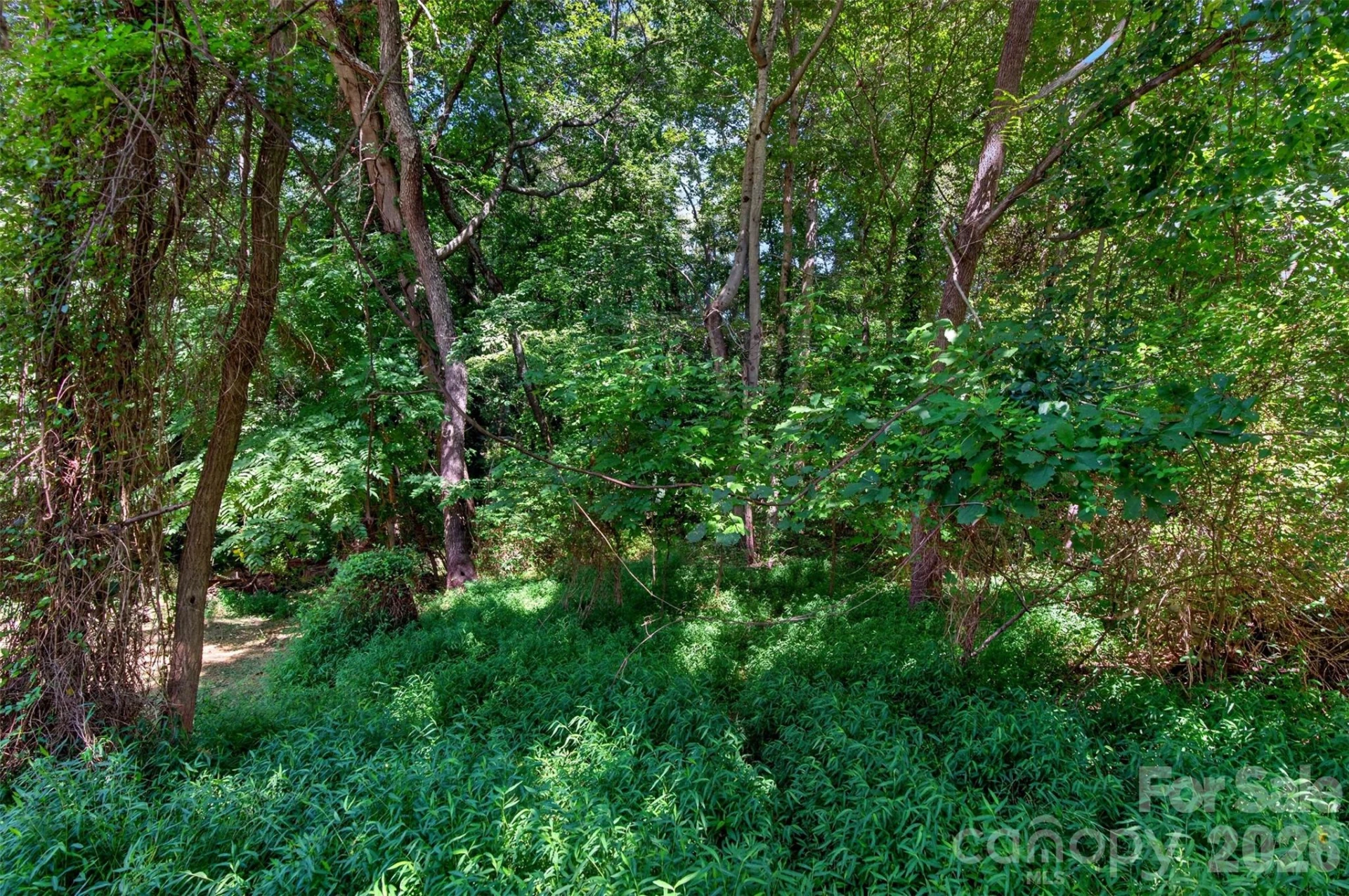21 Maple Avenue - Photo 4