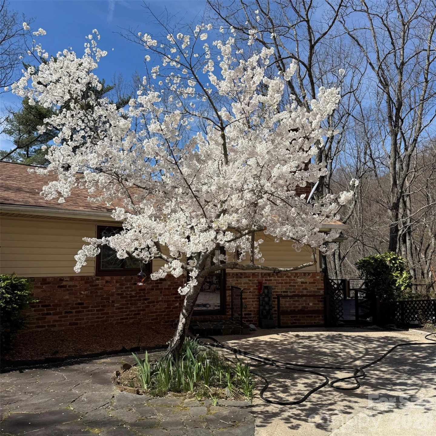 12 E Park Drive - Photo 11