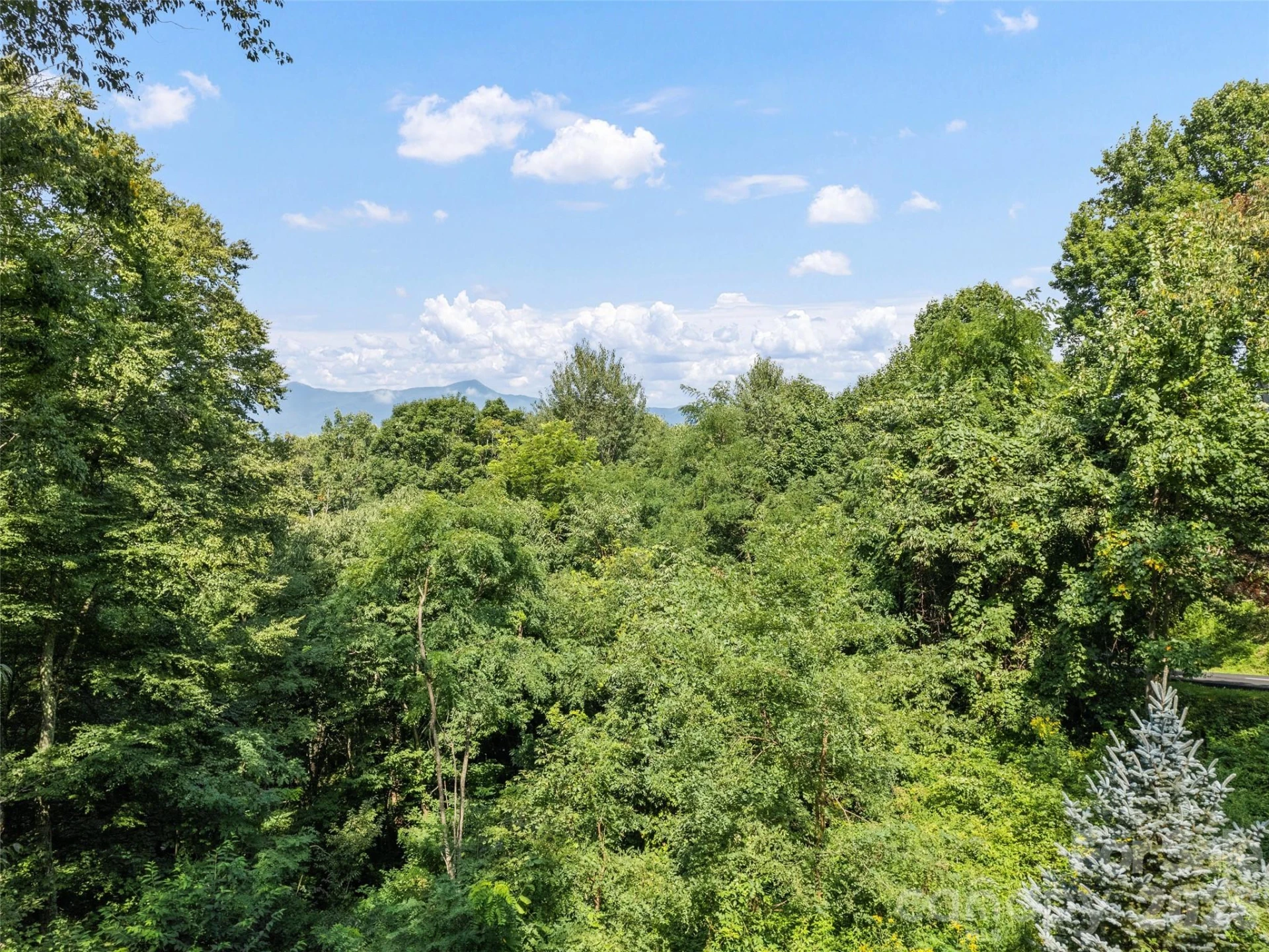 154 Presidential Drive - Photo 8