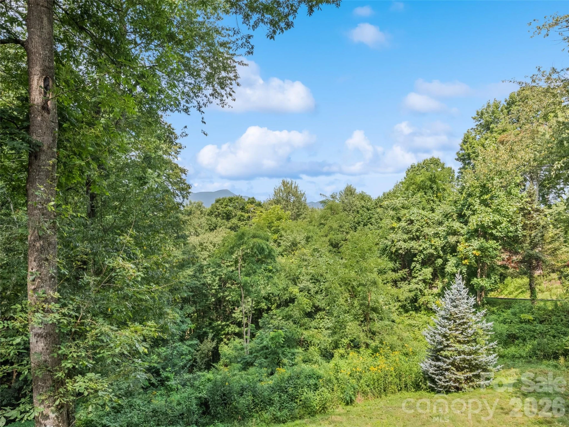 154 Presidential Drive - Photo 12