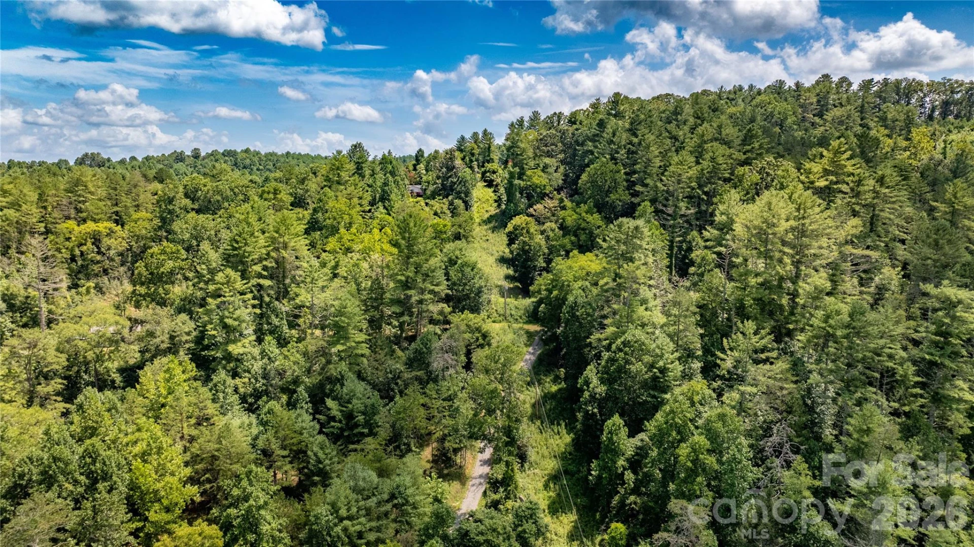 22 Fern Gully None - Photo 10