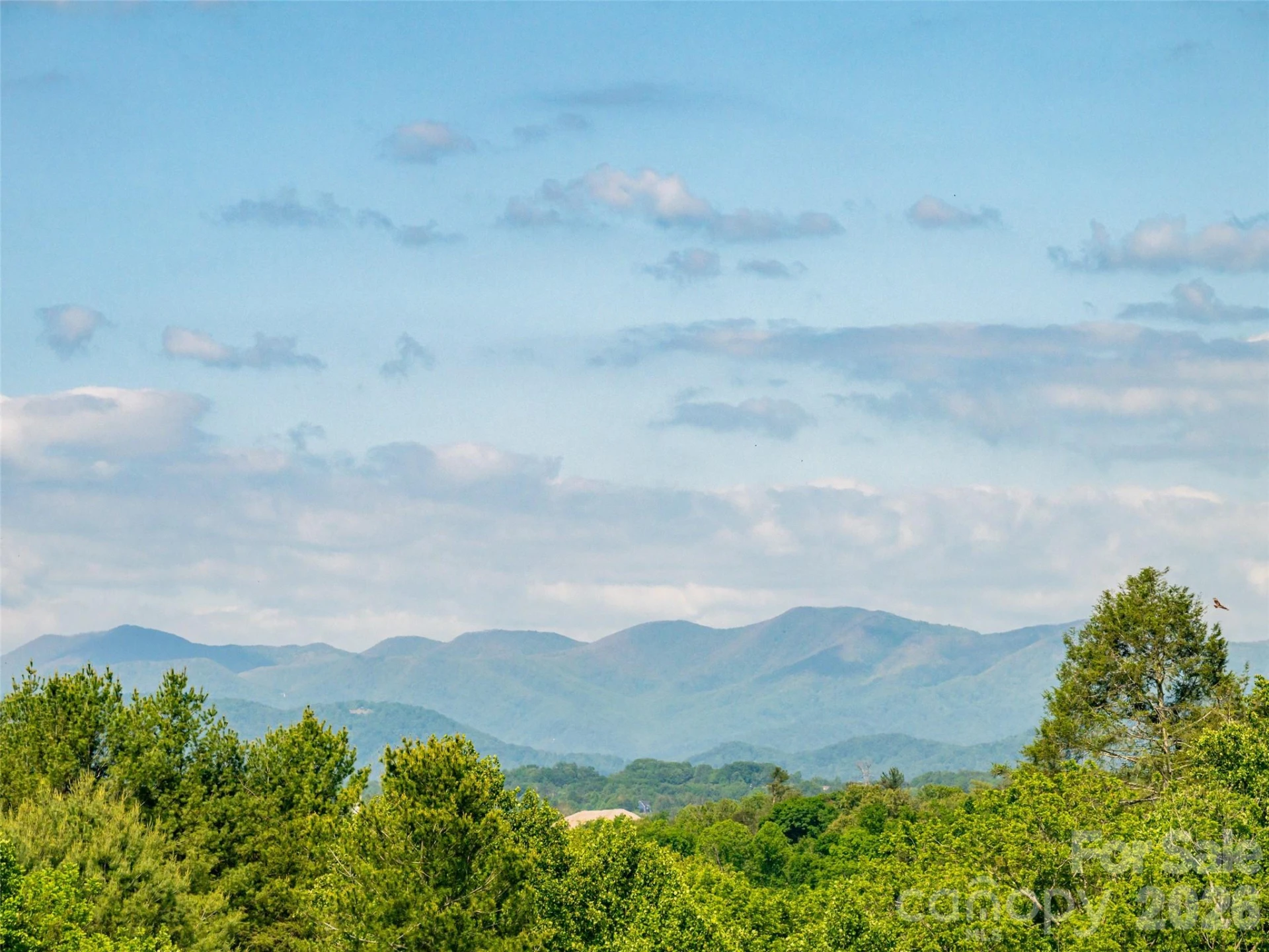 596 Country Oak Drive - Photo 43