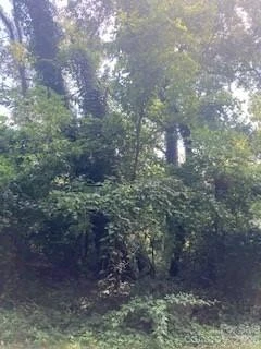 99999 Old Haw Creek Road #Lot 1