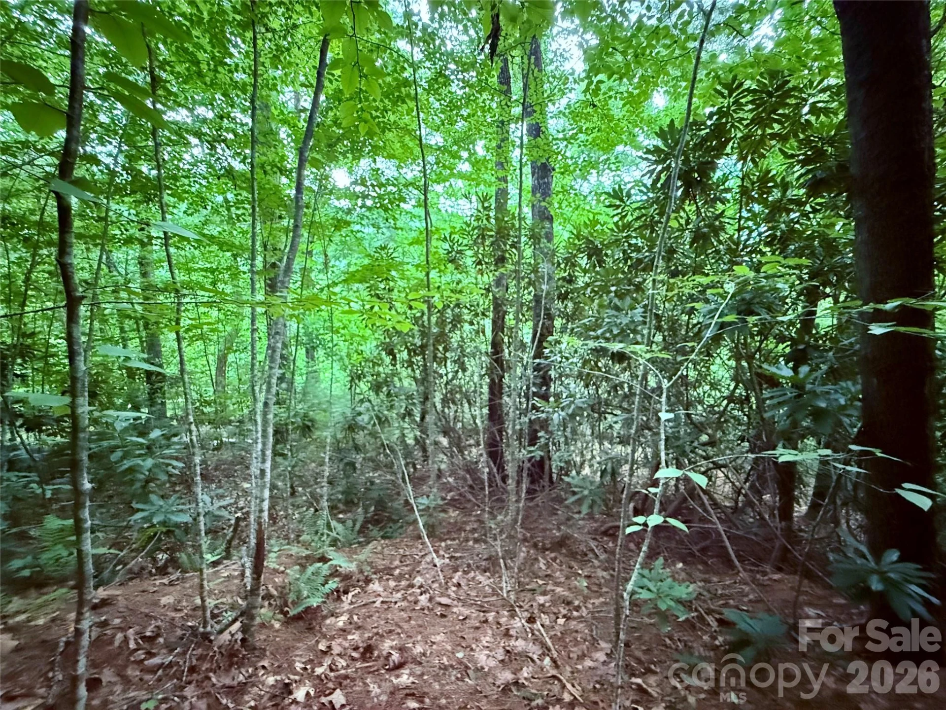 TBD Parkway View Lane #L1 - Photo 3