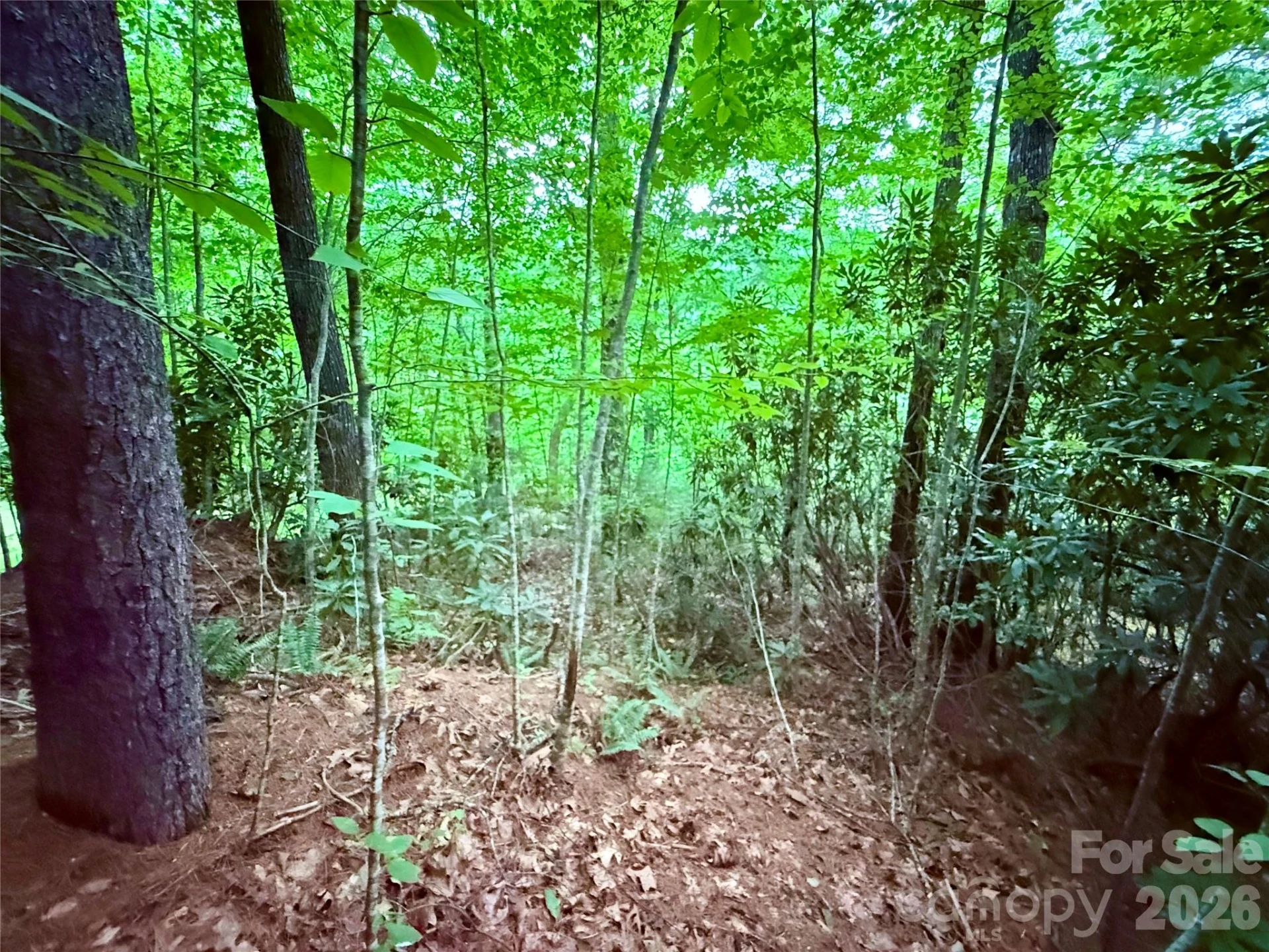 TBD Parkway View Lane #L1 - Photo 4