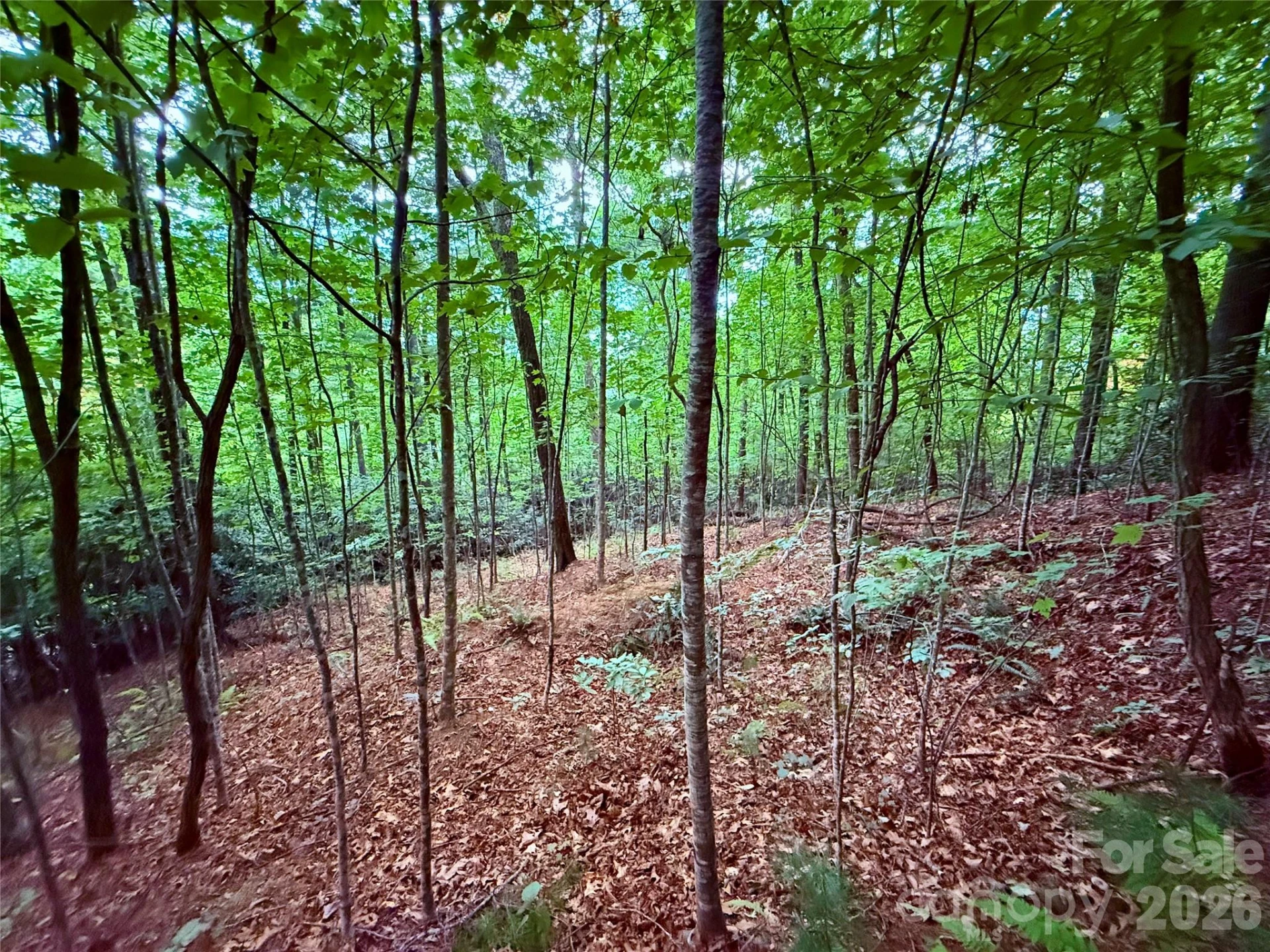 TBD Parkway View Lane #L1 - Photo 5