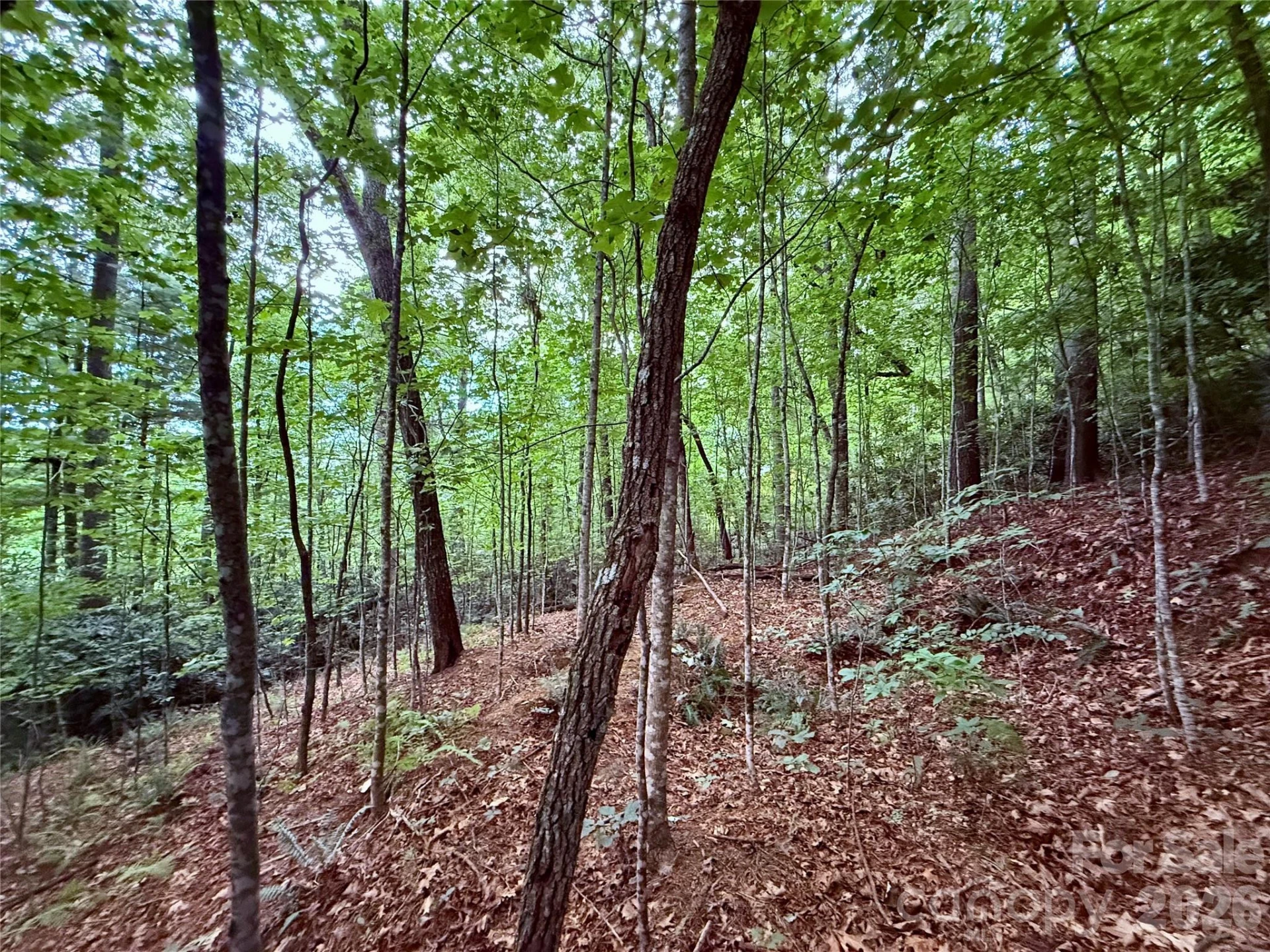 TBD Parkway View Lane #L1 - Photo 7