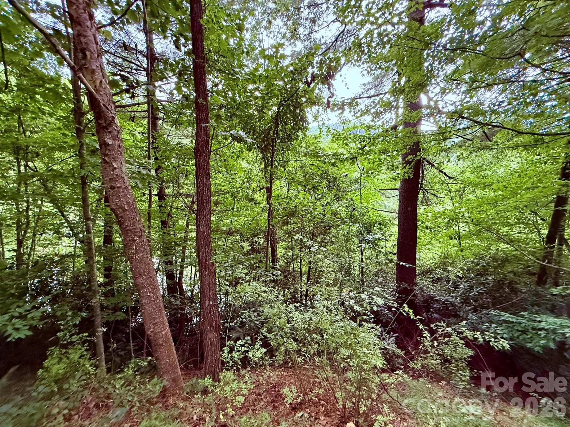TBD Parkway View Lane #L1 - Photo 8