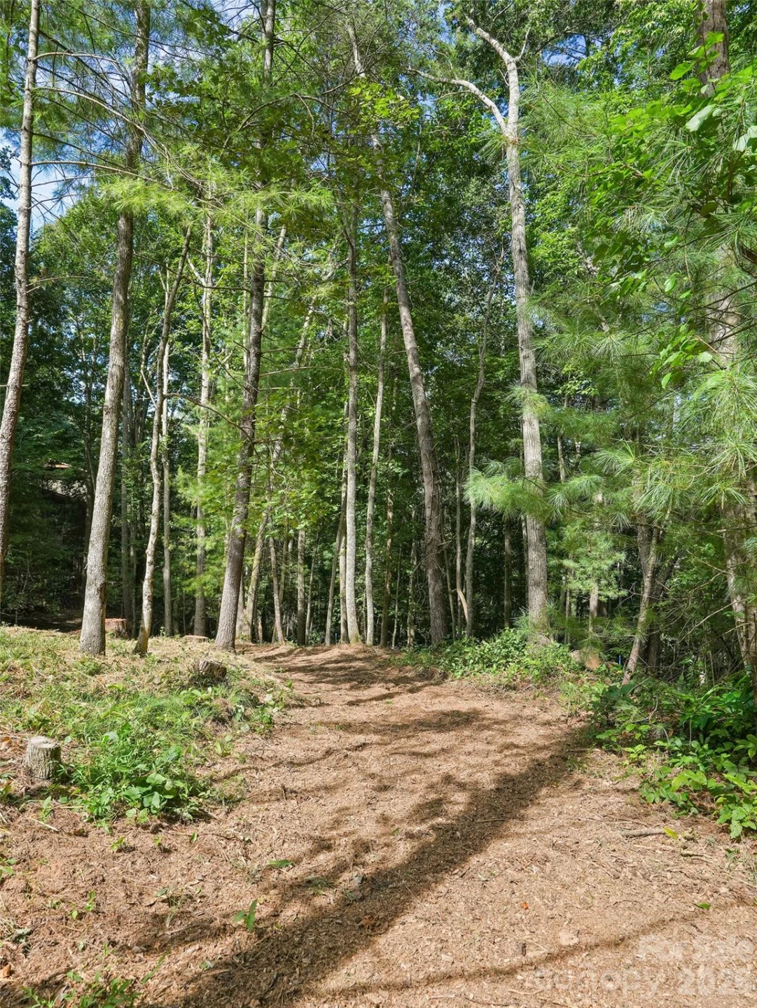 11 Tahchee Trail - Photo 40