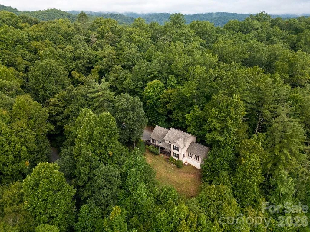 62 Pine Hill Drive - Photo 4