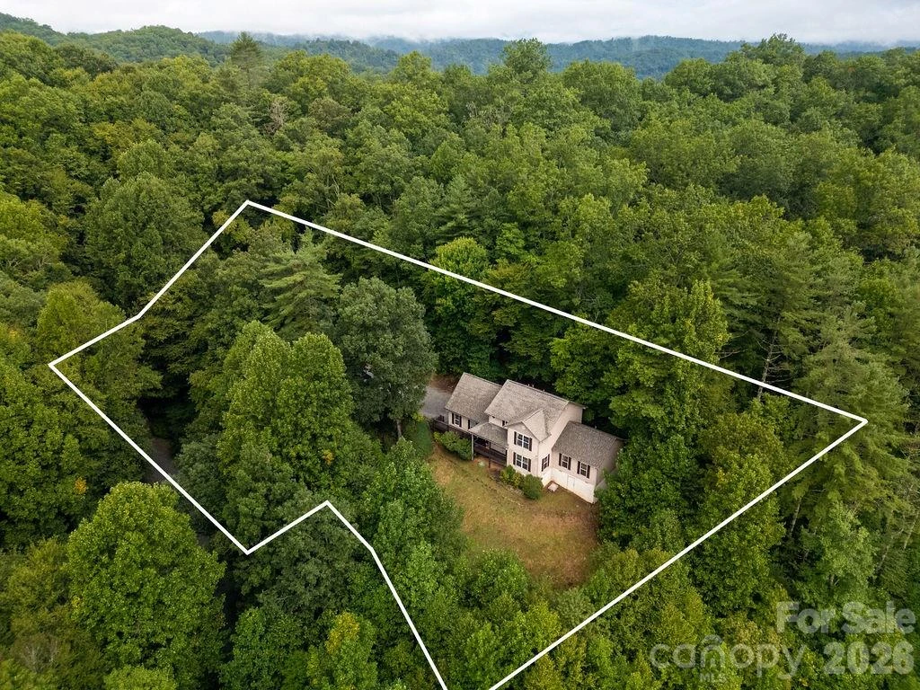 62 Pine Hill Drive - Photo 5