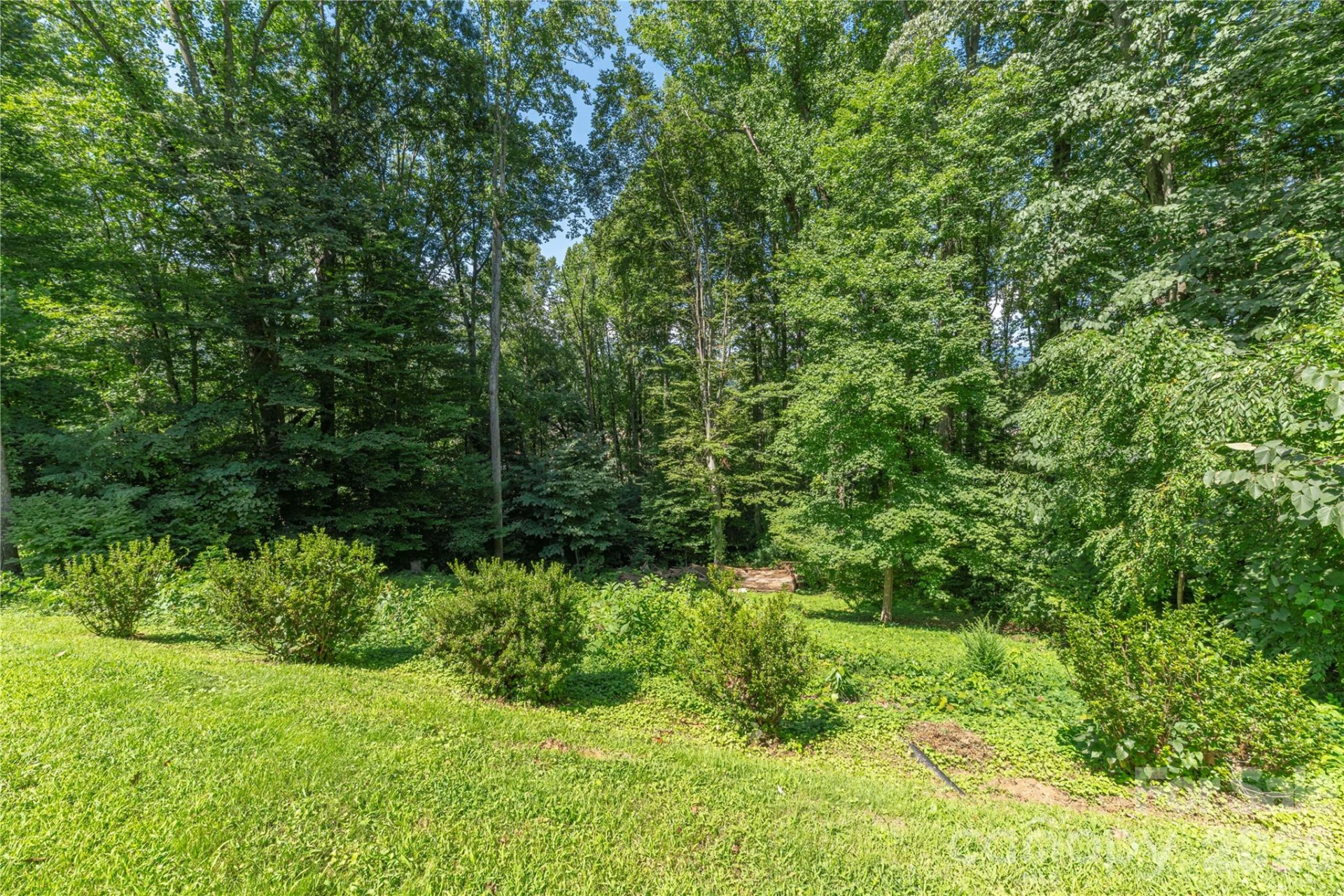 115 Hazelview Drive - Photo 24